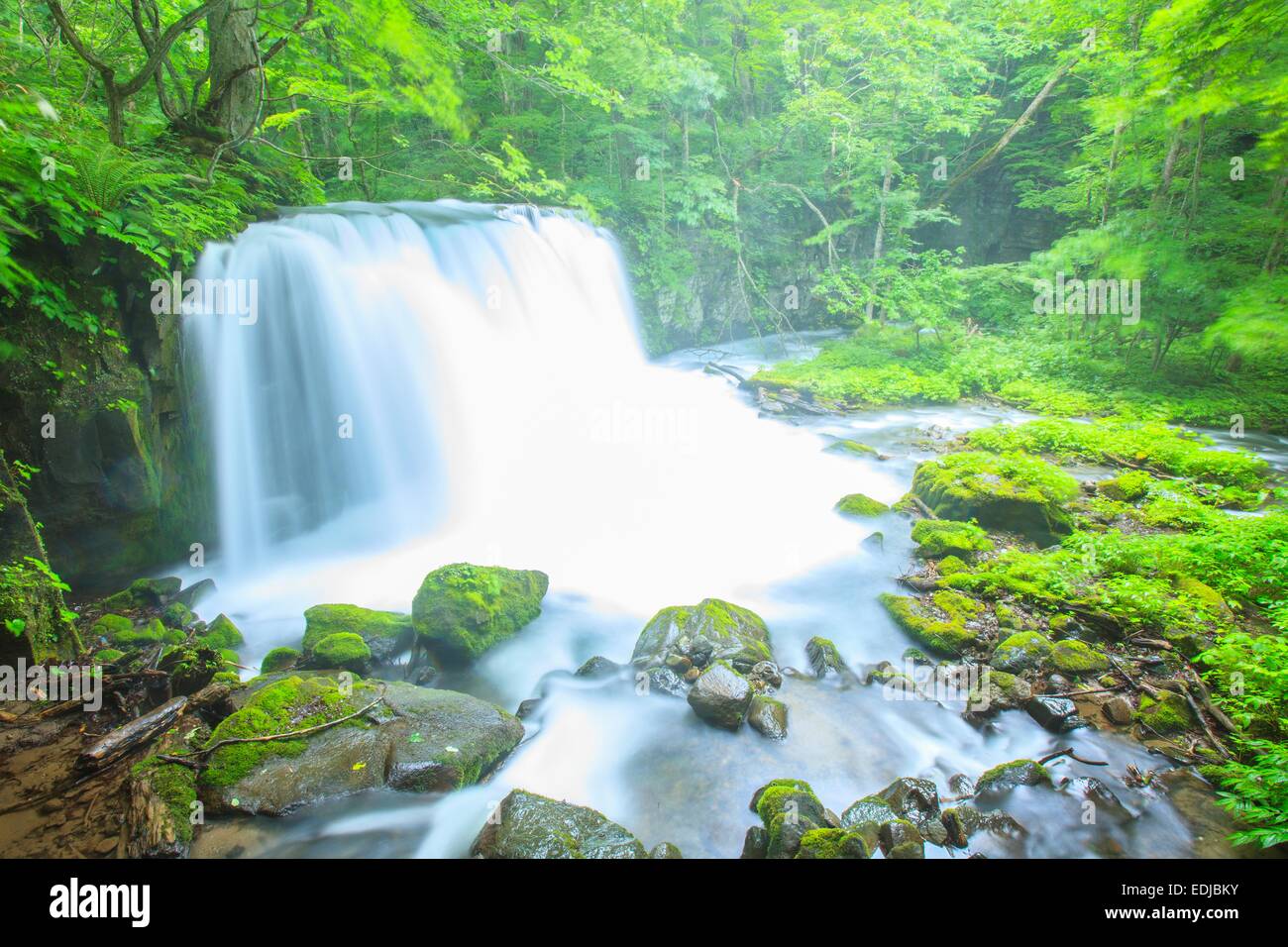 Flusso Oirase, Cyoushiootaki, Aomori, Giappone Foto Stock