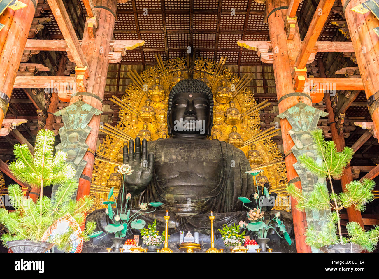 Il Grande Buddha (Daibutsu-Den) al Tempio di Todai-ji di Nara, Giappone. Foto Stock