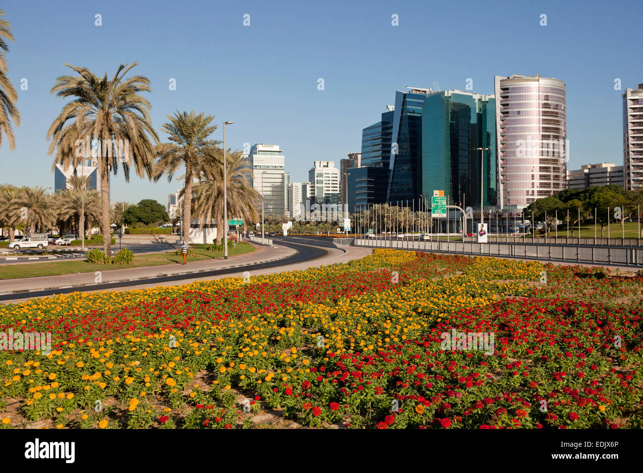 Fiori colorati in letto e grattacieli, Dubai, Emirato di Dubai, Emirati Arabi Uniti, Asia Foto Stock