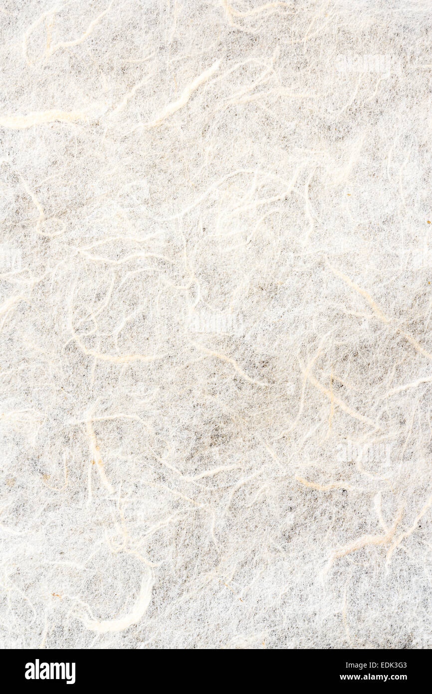 La texture di colore bianco carta di gelso Foto Stock