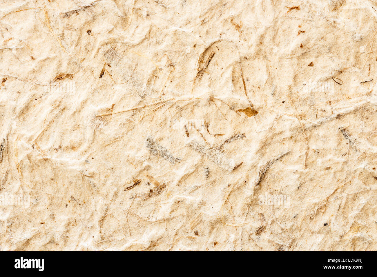 La texture di colore marrone carta di gelso Foto Stock