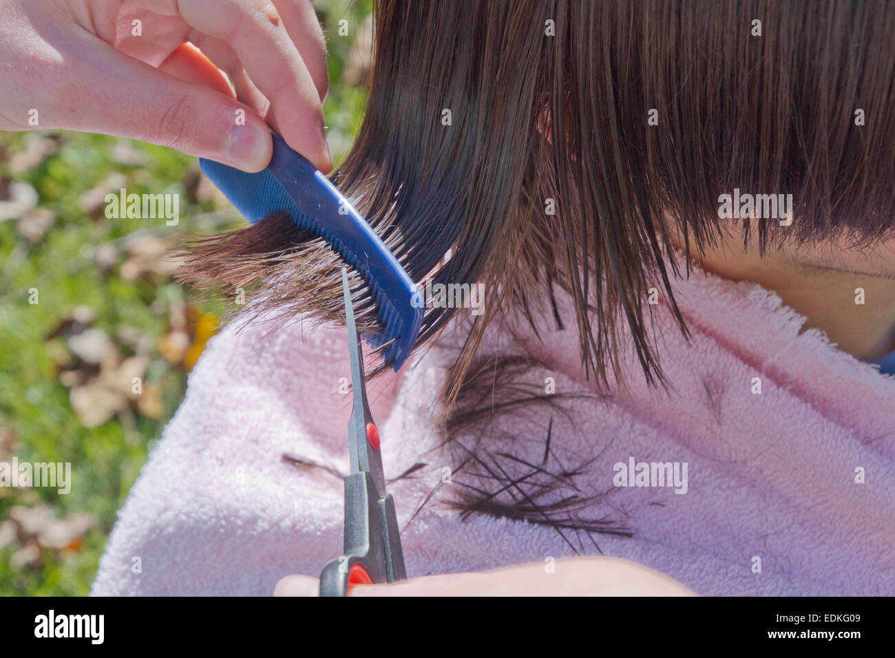 Chiudere fino a una giovane donna pettinatura e taglio del lungo, bagnato, capelli scuri di un giovane uomo fuori nell'erba su una soleggiata giornata autunnale Foto Stock