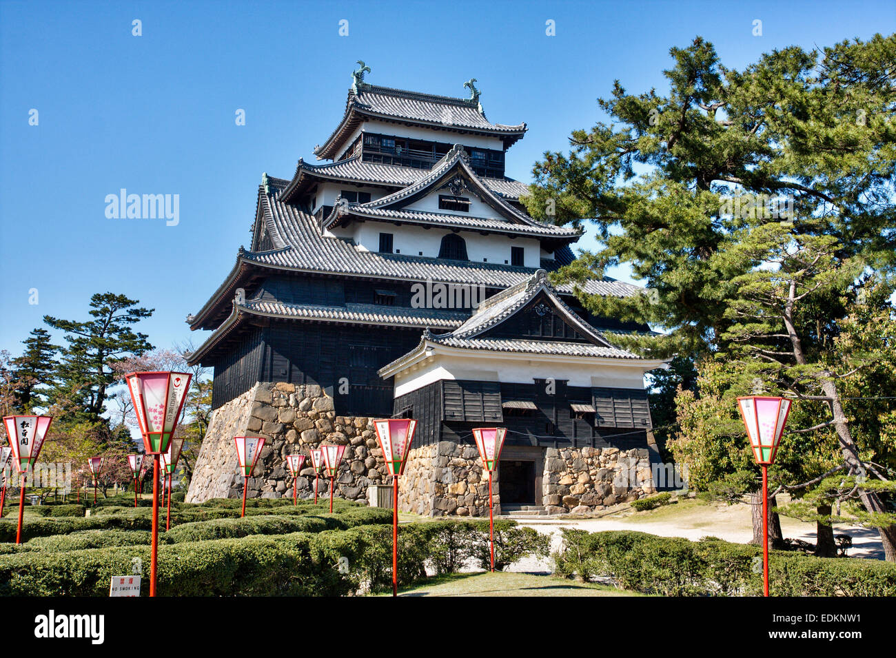 Matsue Castle in Giappone. Vista diurna del suo stile borogata, tenshu con lanterne in fiore di ciliegio primaverile davanti sotto un cielo blu chiaro. Foto Stock