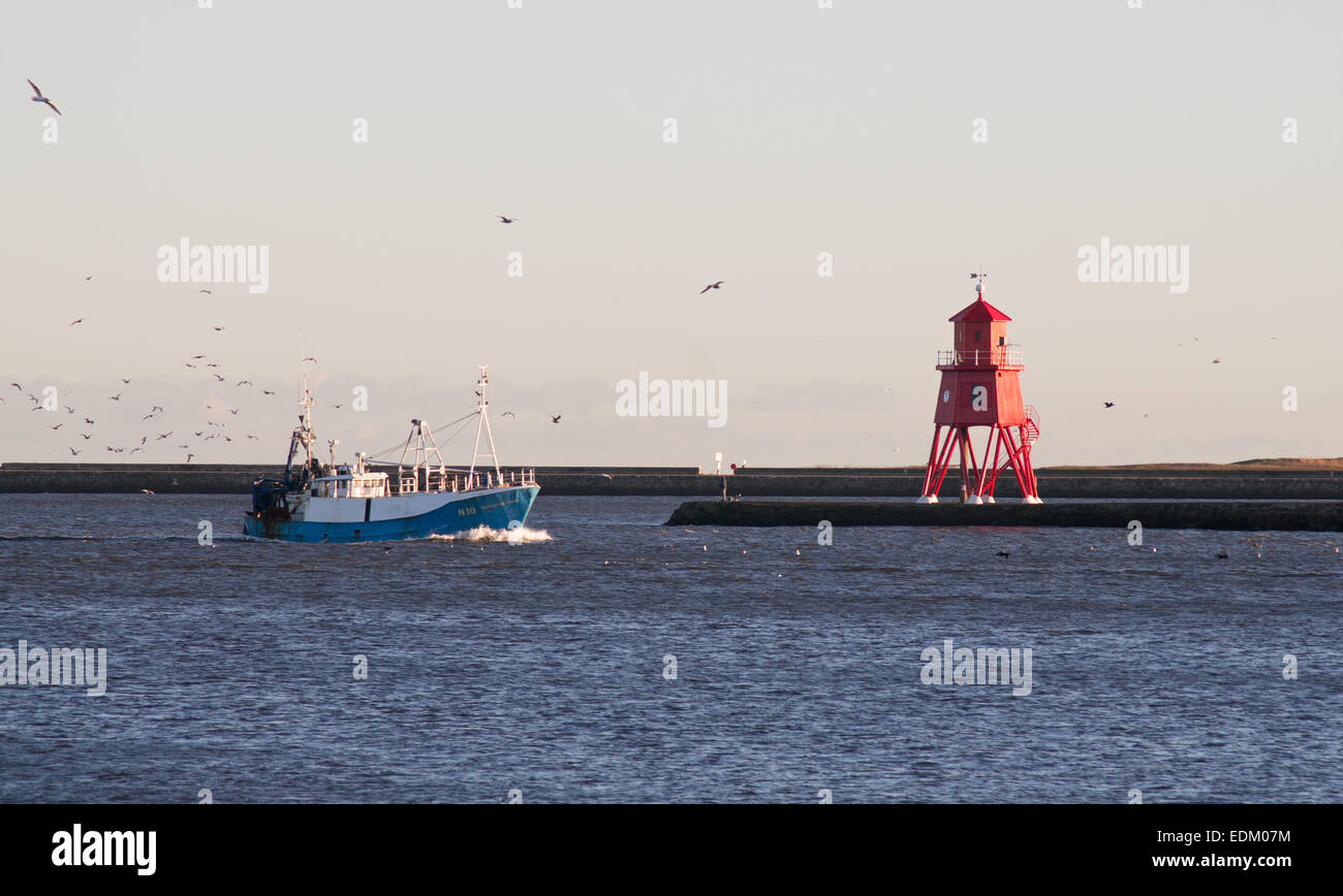 Peschereccio " settentrionali Dawn' passando il faro Groyne tornando al fiume Tyne, South Shields, North East England, Regno Unito Foto Stock