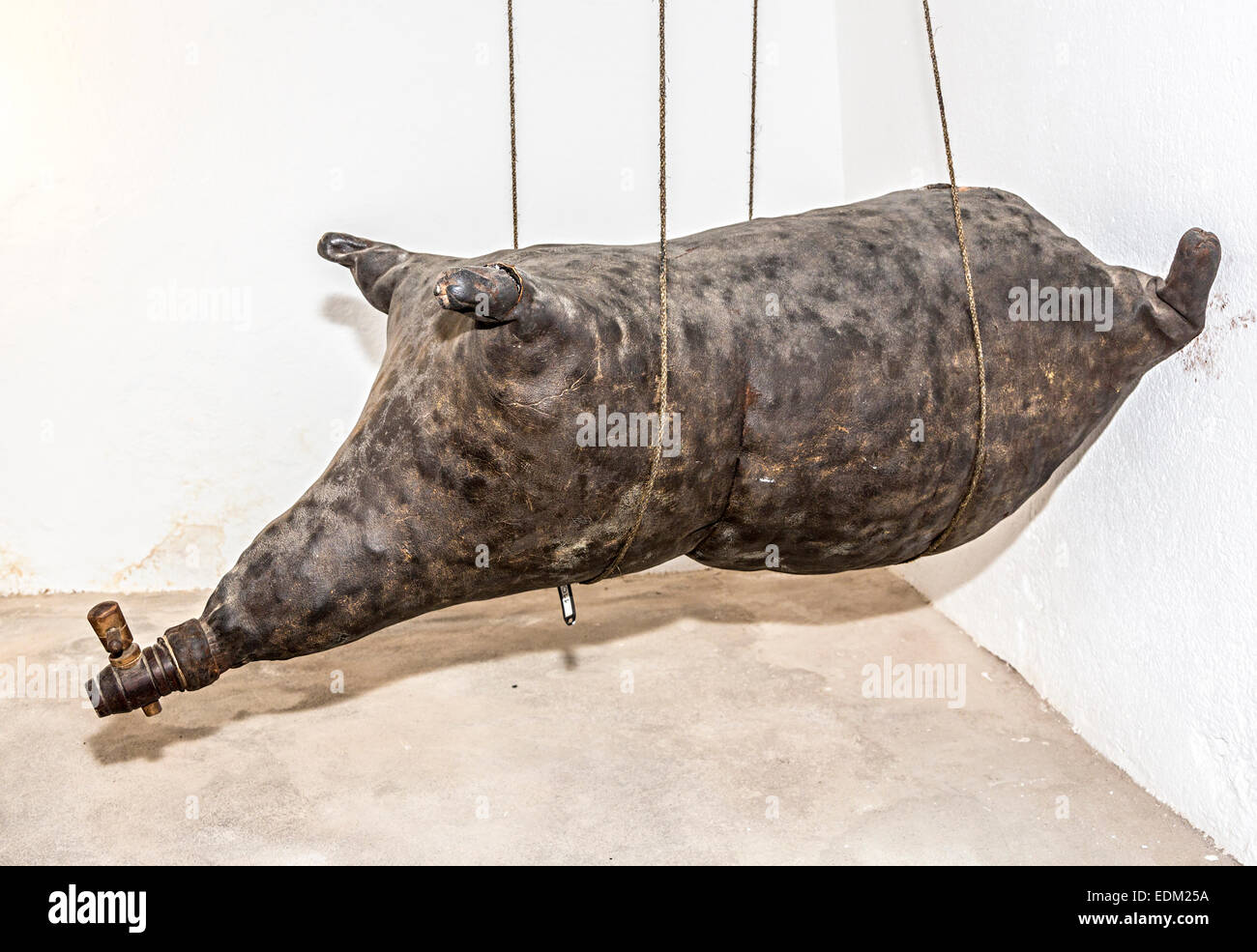 Otre realizzato a partire da una singola pelle di suino nel 1930, Bodegas El Grifo museo del vino, La Geria, Lanzarote, Isole Canarie, Spagna Foto Stock