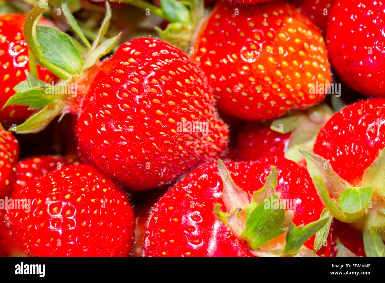 Primo piano di un mazzetto di fragole. Foto Stock