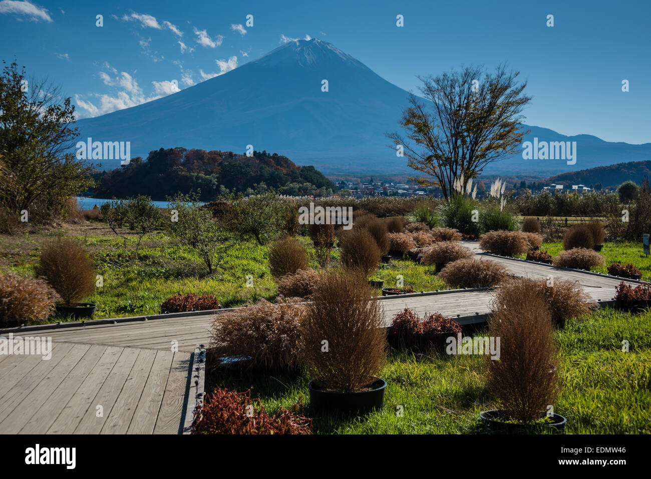 Percorso a piedi intorno al Lago Kawaguchi, il Monte Fuji, Giappone. Foto Stock