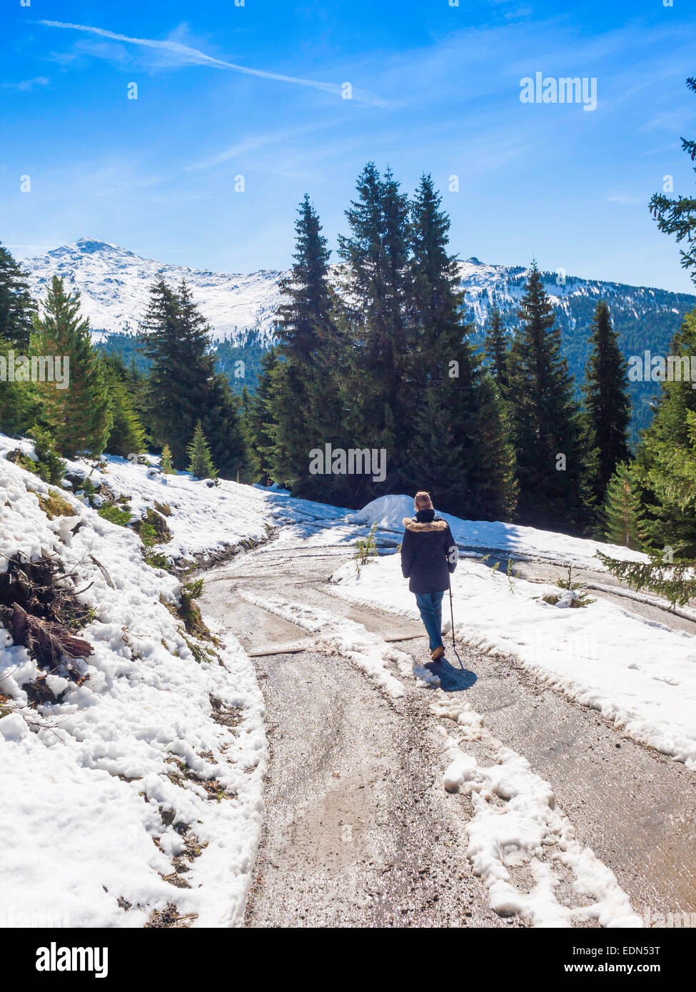 La donna in vacanza a piedi in inizio di stagione nevicata Settembre sul Patscherkofel vicino a Innsbruck Alpi austriache Foto Stock
