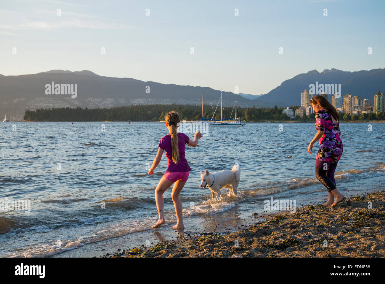Hadden Park Beach un cane giuridico off-guinzaglio area, Vancouver, British Columbia, Canada Foto Stock