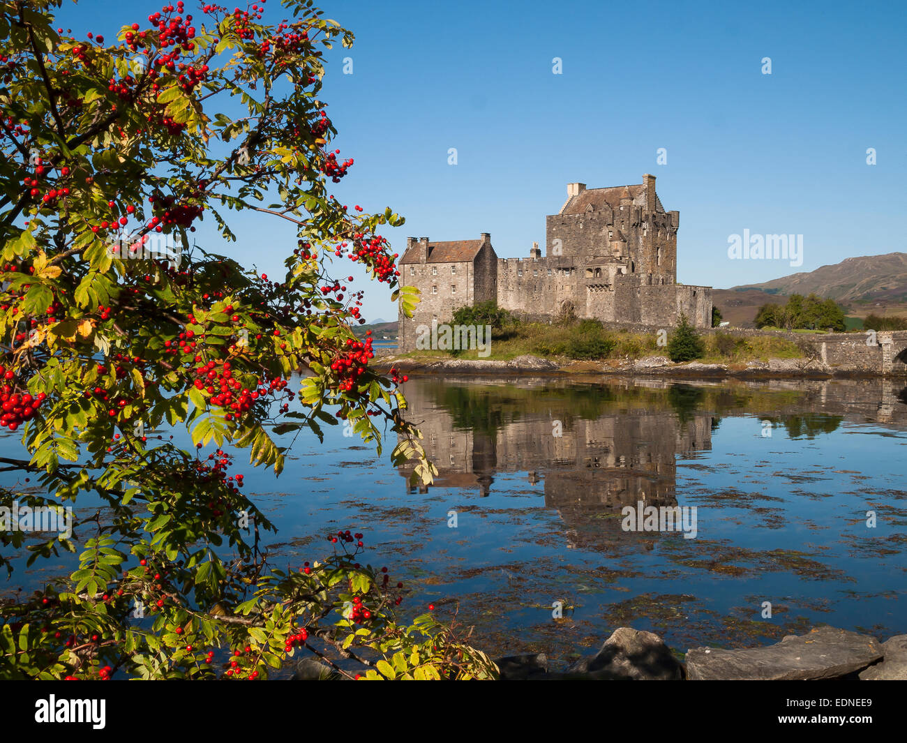 Eilean Donan Castle loch duich con rowan bacche in autunno Foto Stock