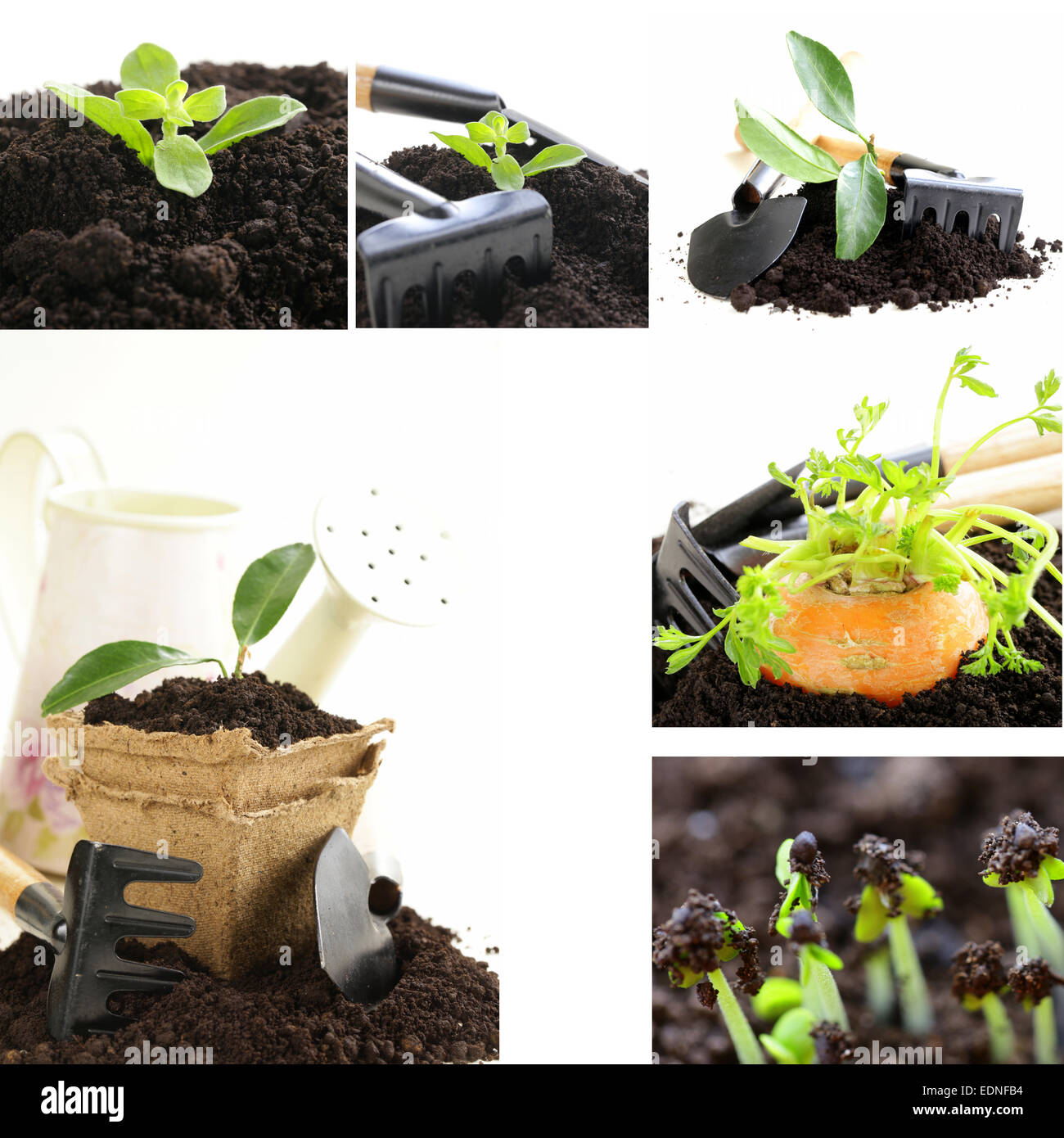 Il collage di massa di giardinaggio con attrezzi da giardino su sfondo bianco Foto Stock