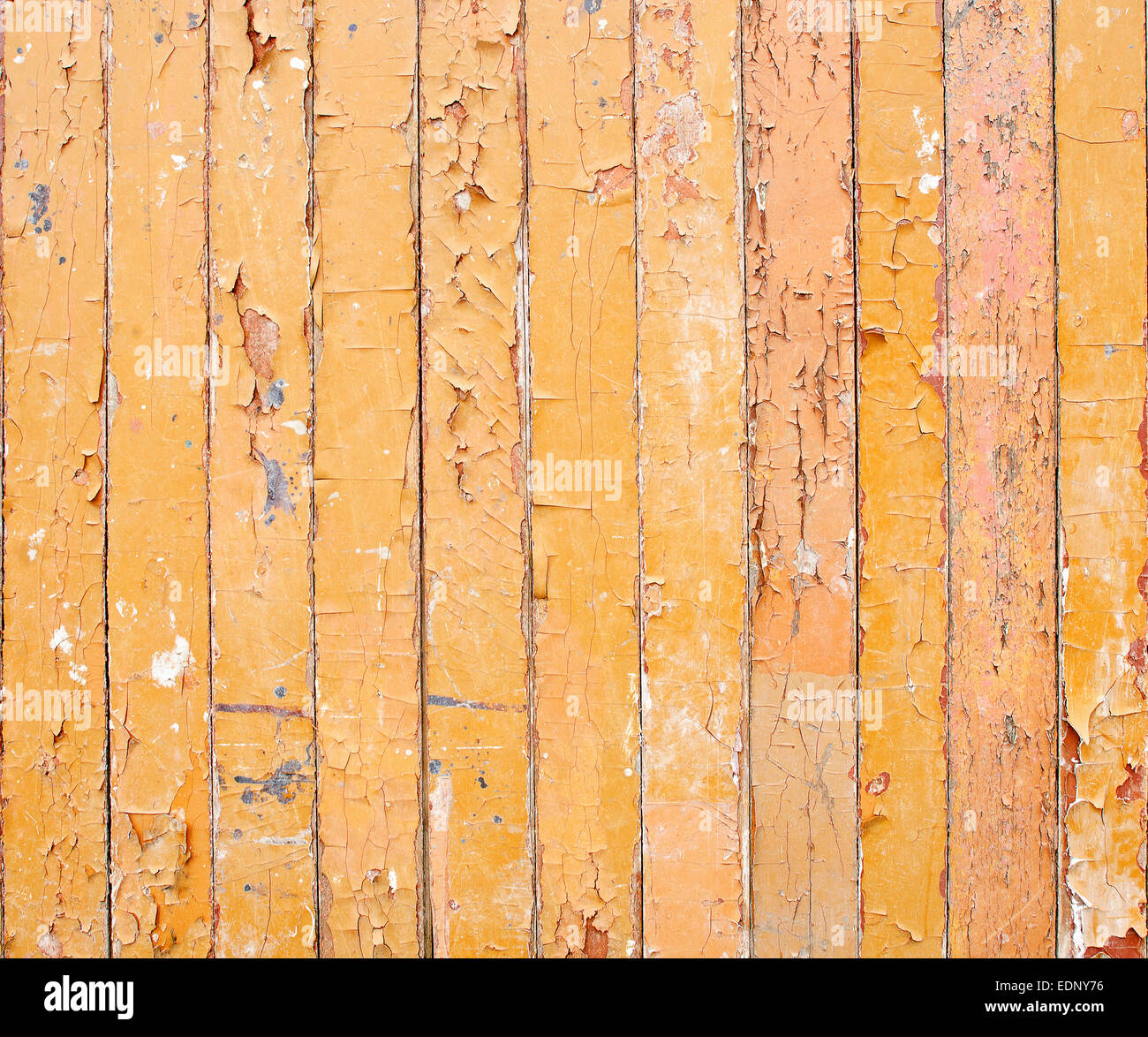 Wood Green plank sfondo texture Foto Stock