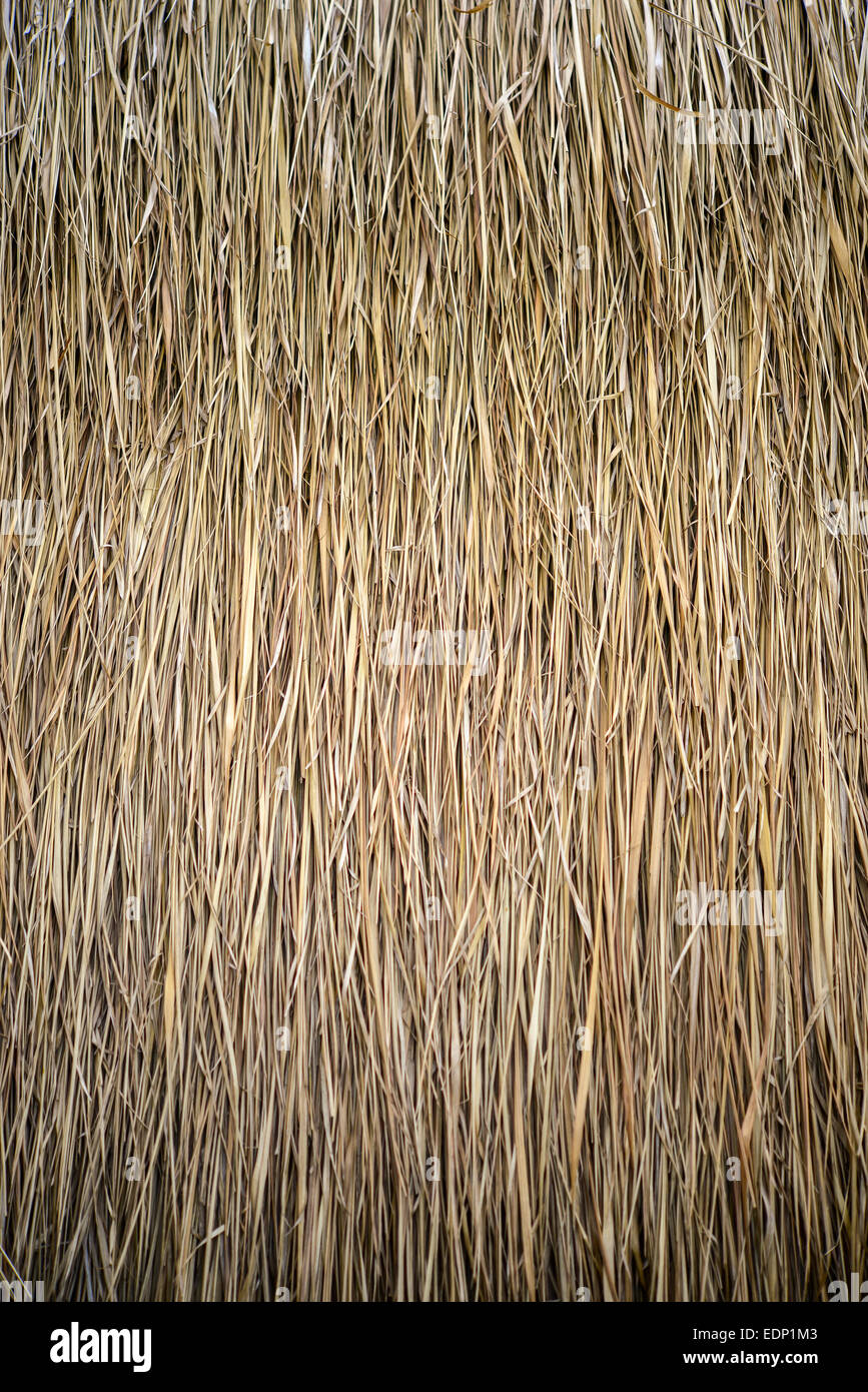 Tetto di Paglia sullo sfondo Foto Stock