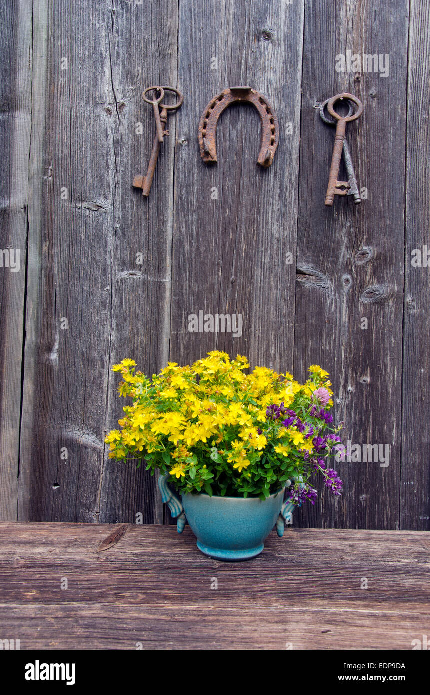 St Johns wort medical fiori in vaso e antichi rusty a ferro di cavallo con la chiave su on farm barn parete Foto Stock