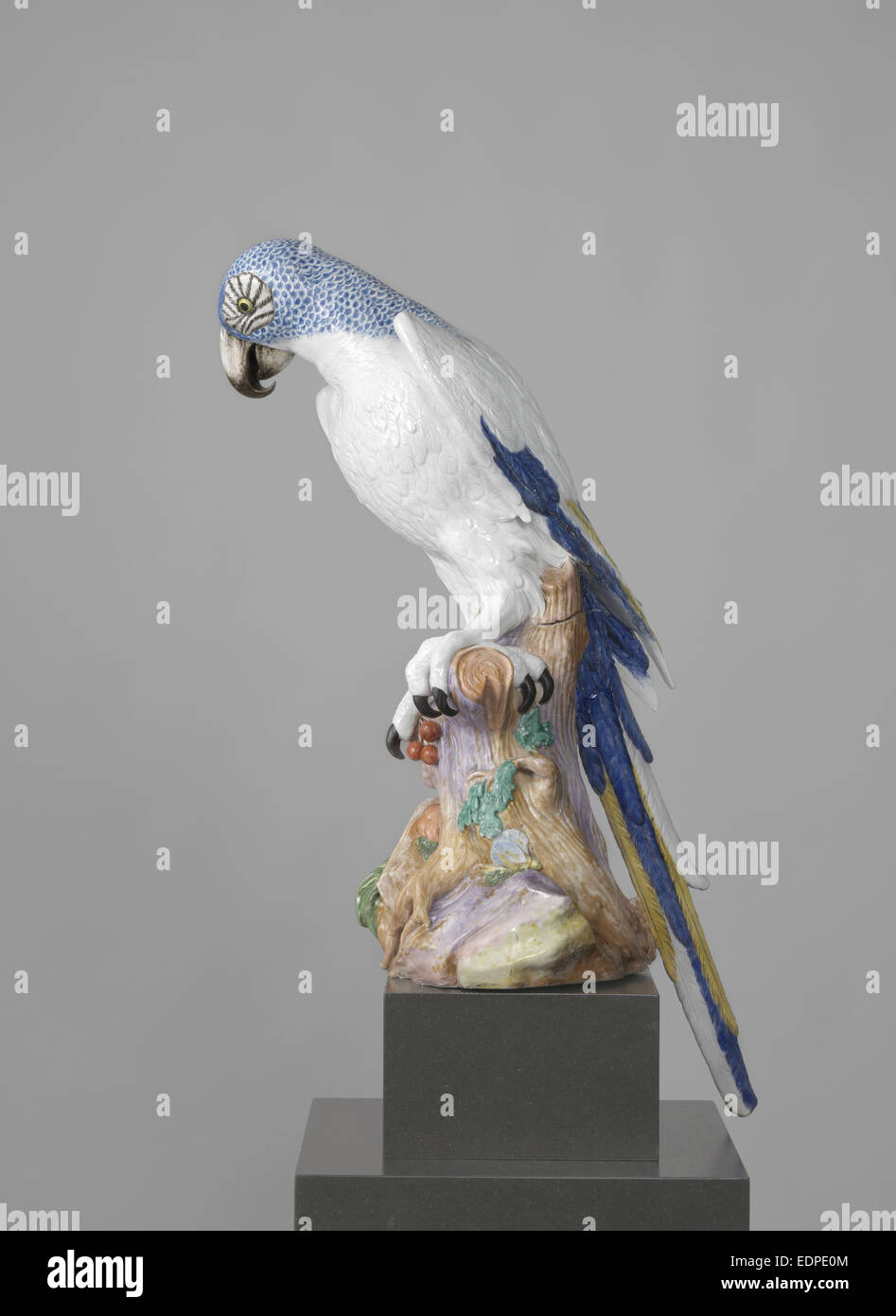 Blue Macaw, Meissener Porzellan Manufaktur, Johann Joachim Kändler, 1731, Meissen Germania Foto Stock