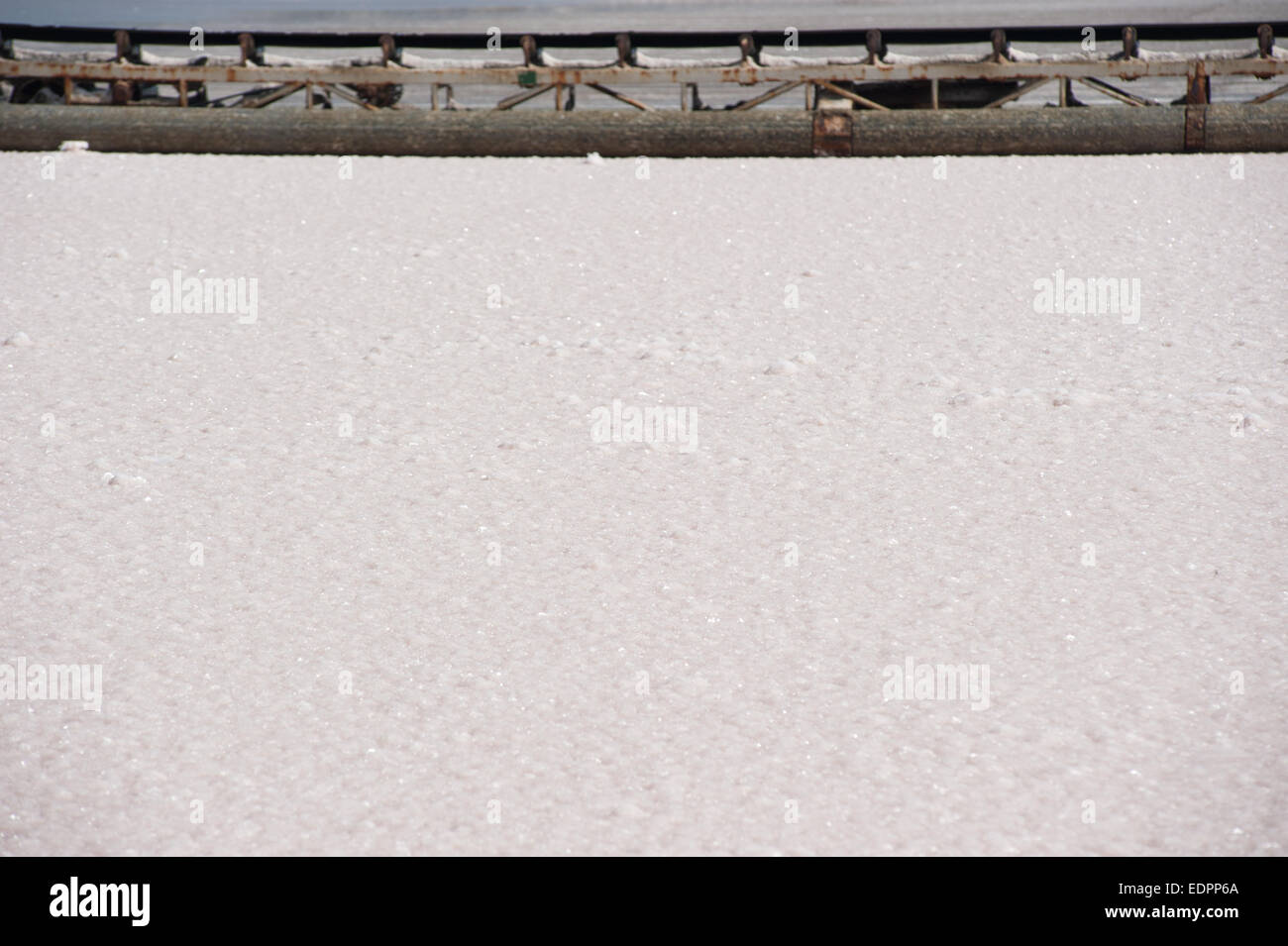 La raccolta del sale in una fattoria di sale Foto Stock