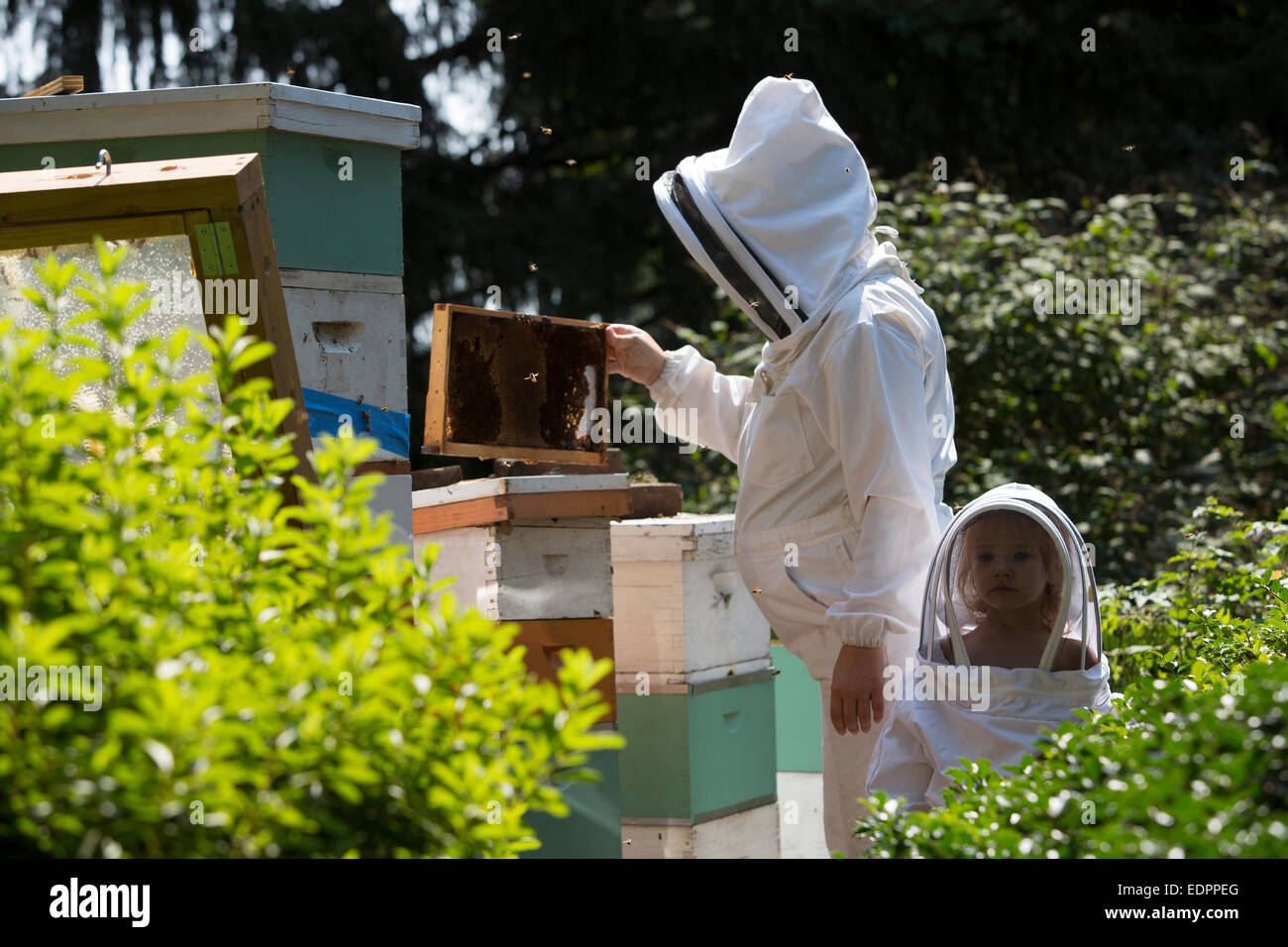 Madre e figlia apicoltori in apicoltura adatta per il controllo degli alveari Foto Stock