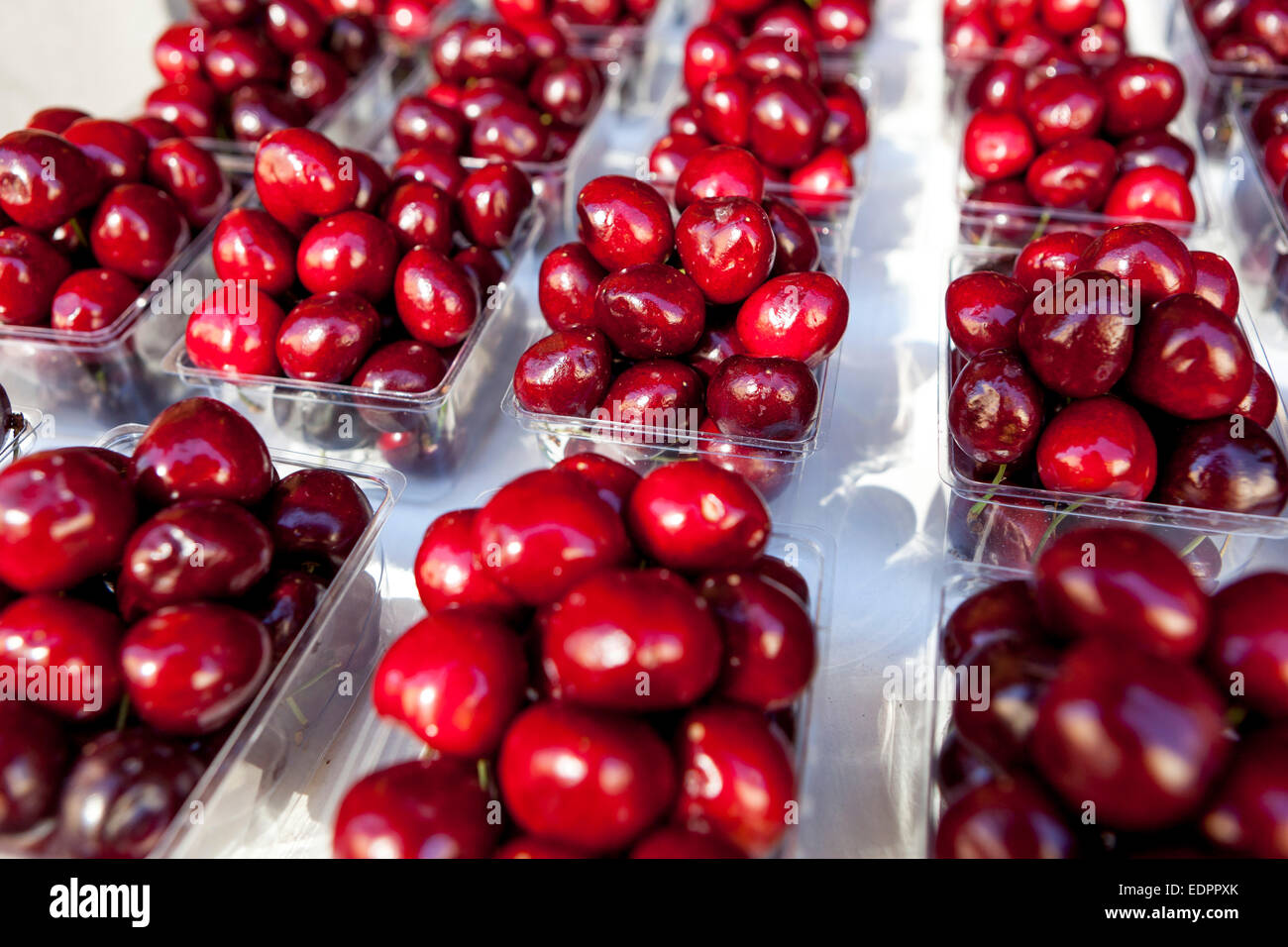 Le ciliegie in offerta Foto Stock