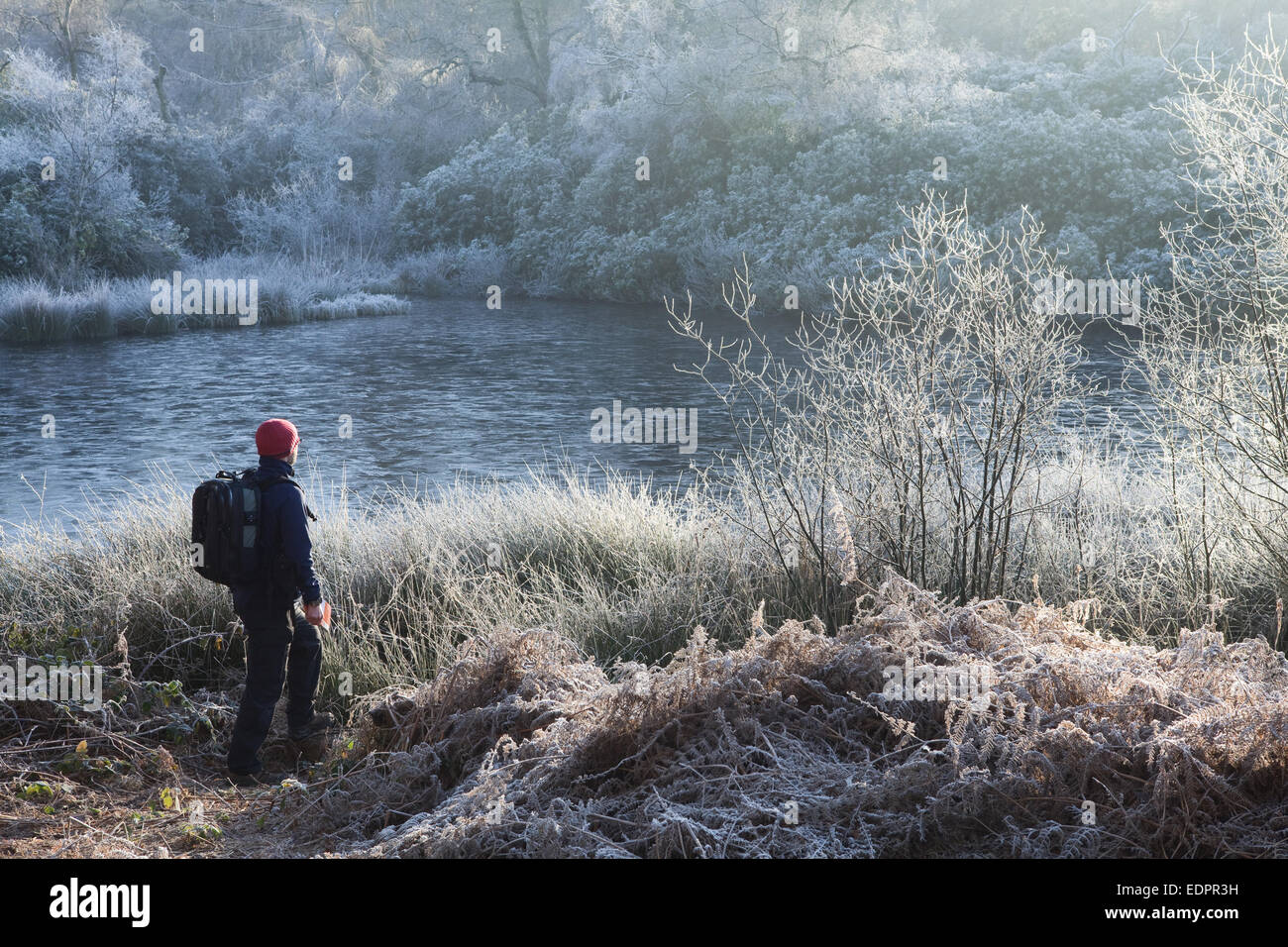 North Lincolnshire, Regno Unito. 4 gennaio 2015. Un viandante all'esterno in condizioni di congelamento a Twigmoor legno. Foto Stock