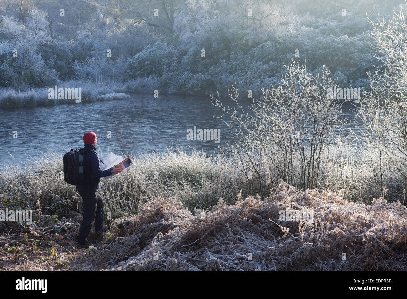 North Lincolnshire, Regno Unito. 4 gennaio 2015. Un viandante all'esterno in condizioni di congelamento a Twigmoor legno. Foto Stock