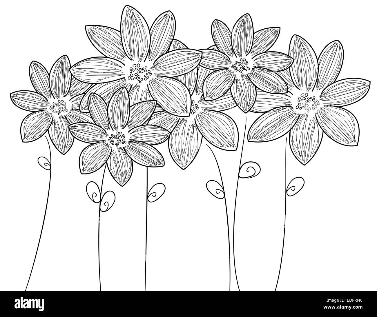 Delicato bianco & nero illustrazione sei fiori freschi con steli e foglie di decorativo o temi romantica Foto Stock