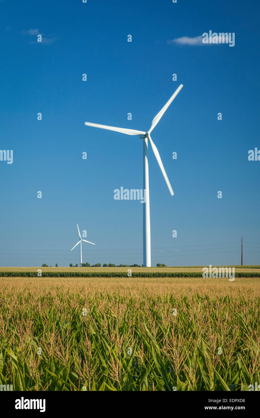 Turbina eolica nel campo di mais. Colo, Iowa. Foto Stock