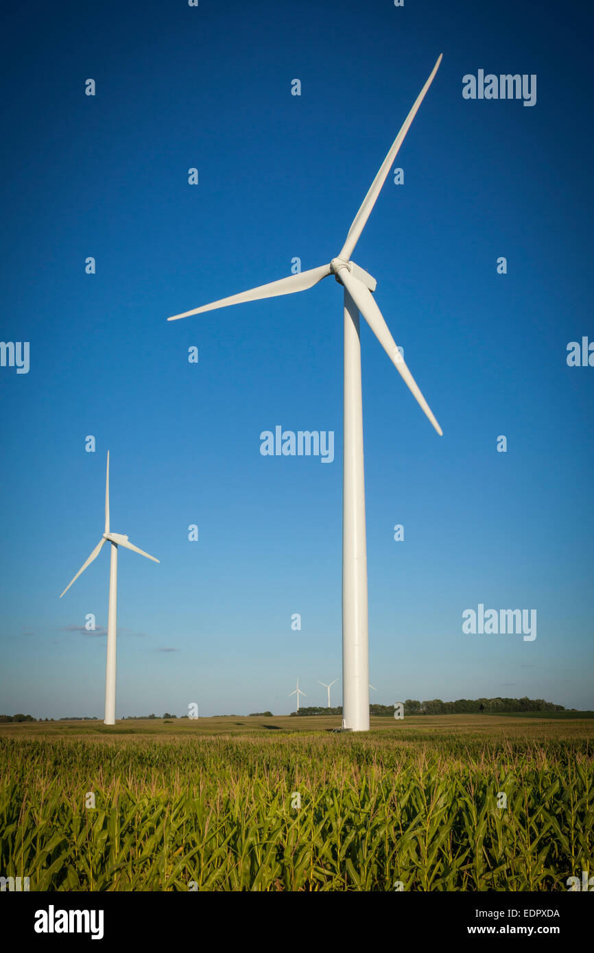 Le turbine eoliche che fanno parte della storia County Wind Farm. Iowa. Foto Stock