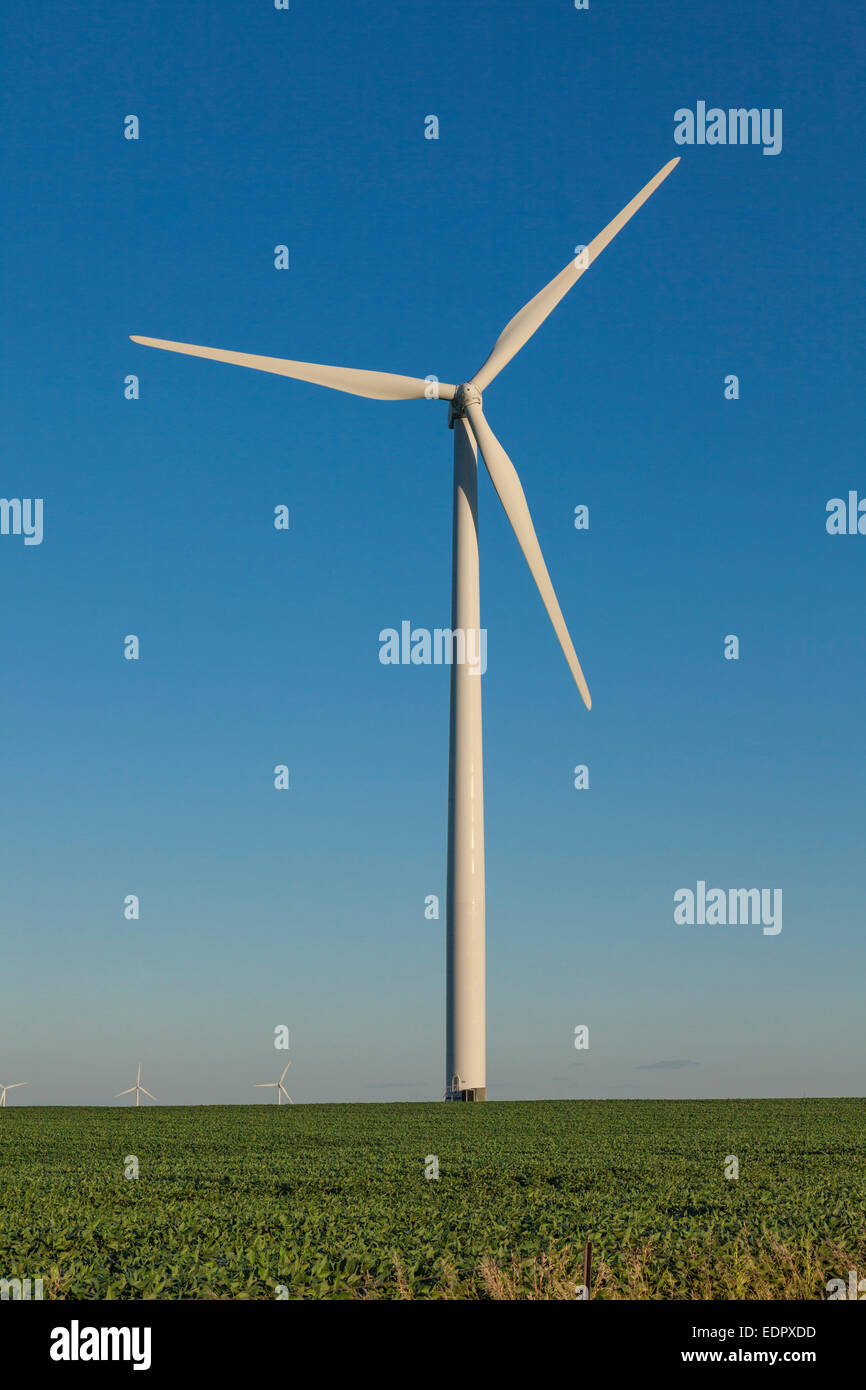 Turbina eolica nel campo di soia. Colo, Iowa Foto Stock