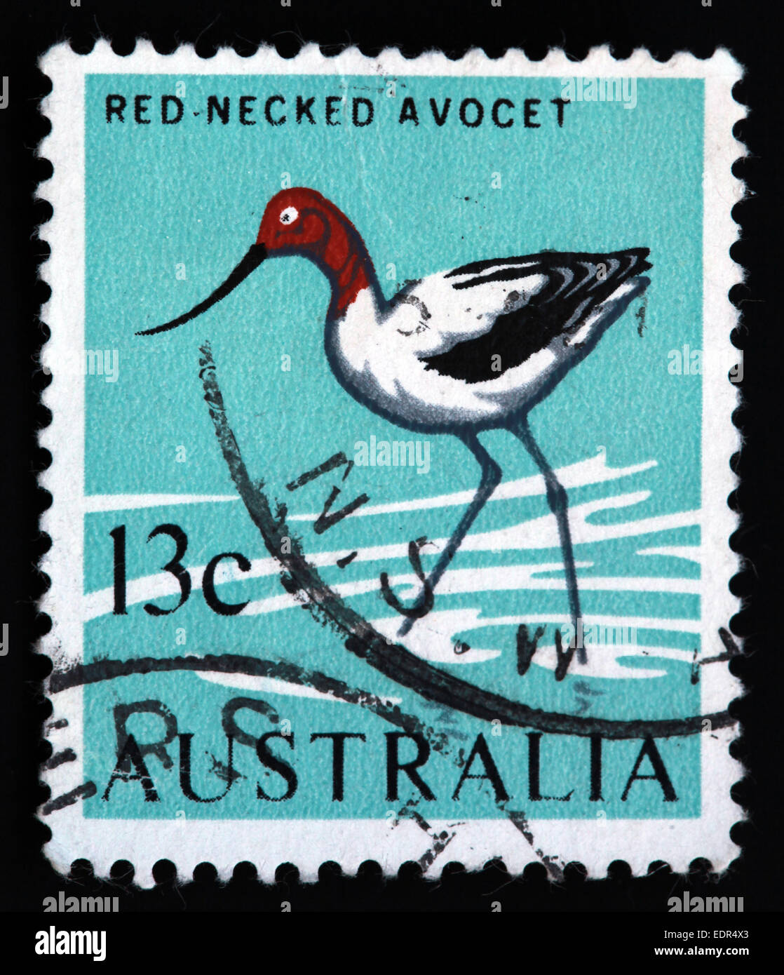 Usato e con timbro postale Australia / Austrailian timbro collo rosso avocetta 13c Foto Stock