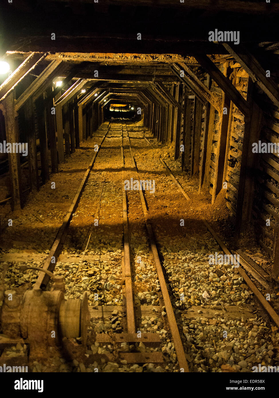 Il mio albero a Empire Mine Foto Stock