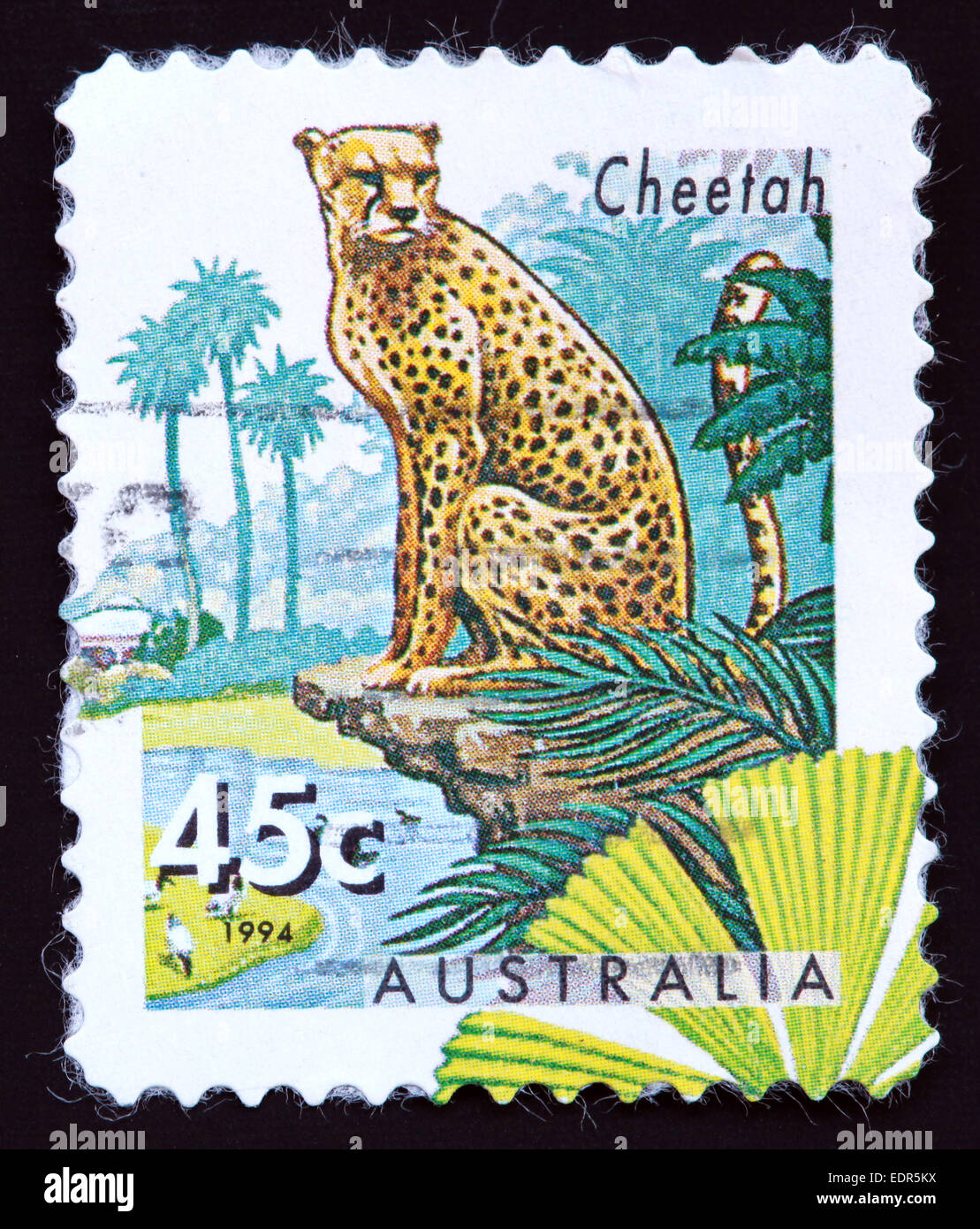 Usato e con timbro postale Australia / Timbro Austrailian 45c 1994 Cheetah Foto Stock