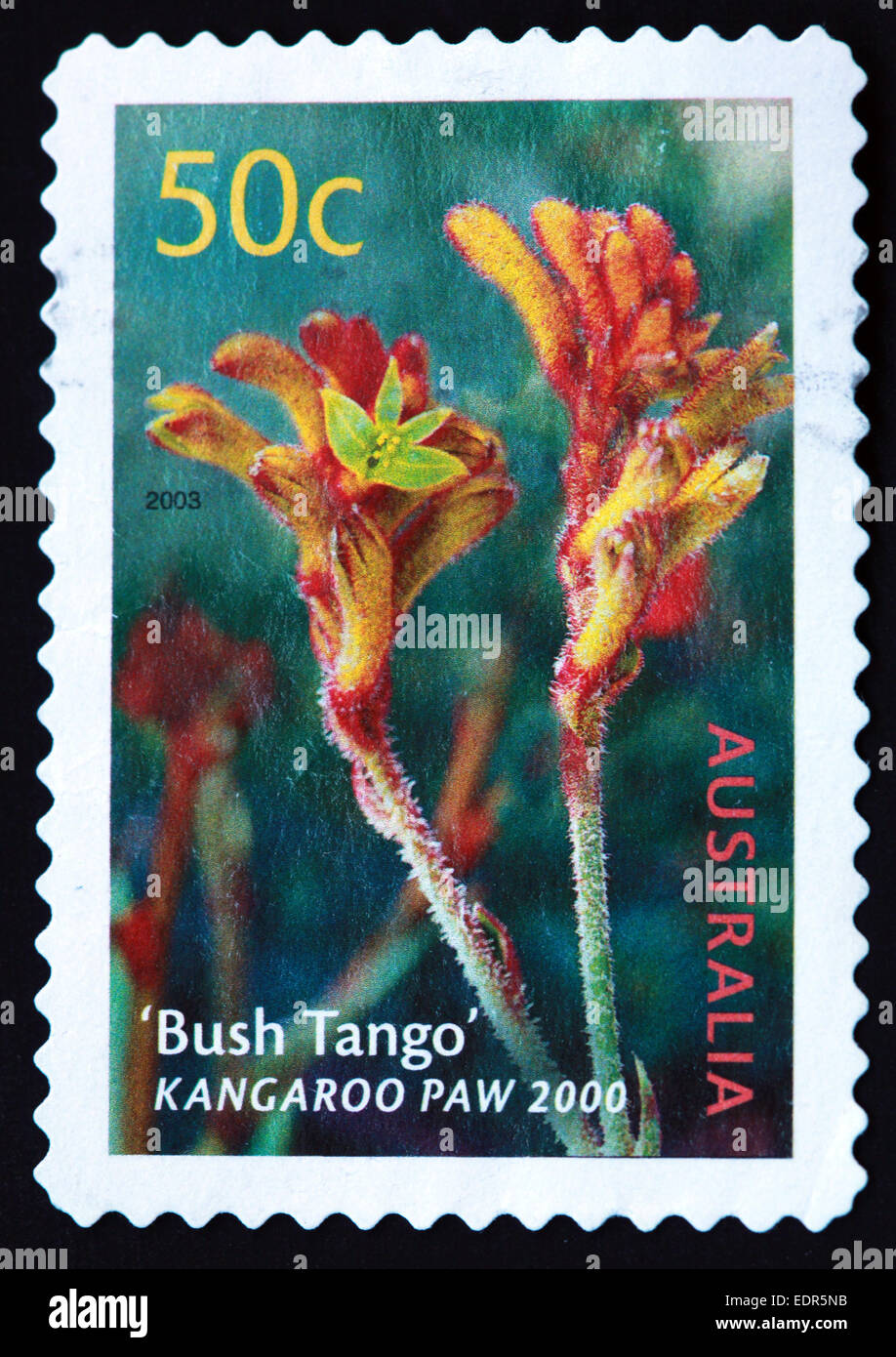 Usato e con timbro postale Australia / Timbro Austrailian 2003 50c bussola Tango Kangaroo Paw 2000 Foto Stock
