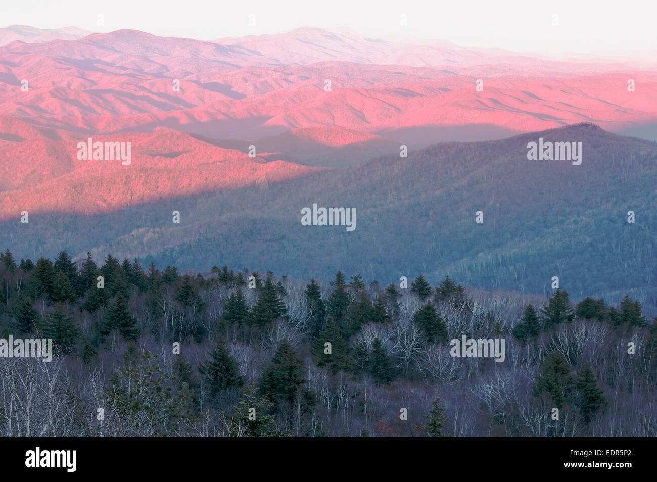 Autunno paesaggio di montagna verde pineta sullo sfondo del tramonto rosso Foto Stock