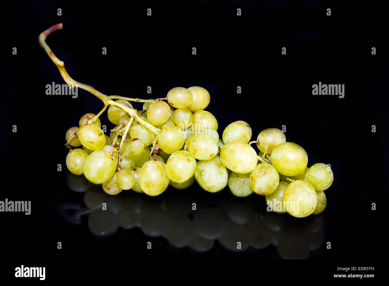 Grappolo di uva riflessa su sfondo nero Foto Stock