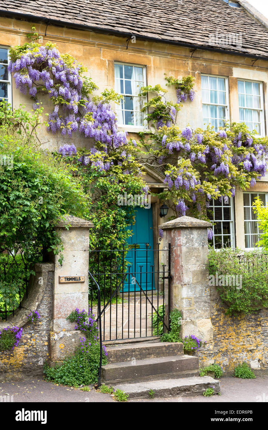 Wysteria fioritura di arbusti in fiore a tradizionale periodo inglese casa nel pittoresco villaggio di Castle Combe in Cotswolds, REGNO UNITO Foto Stock