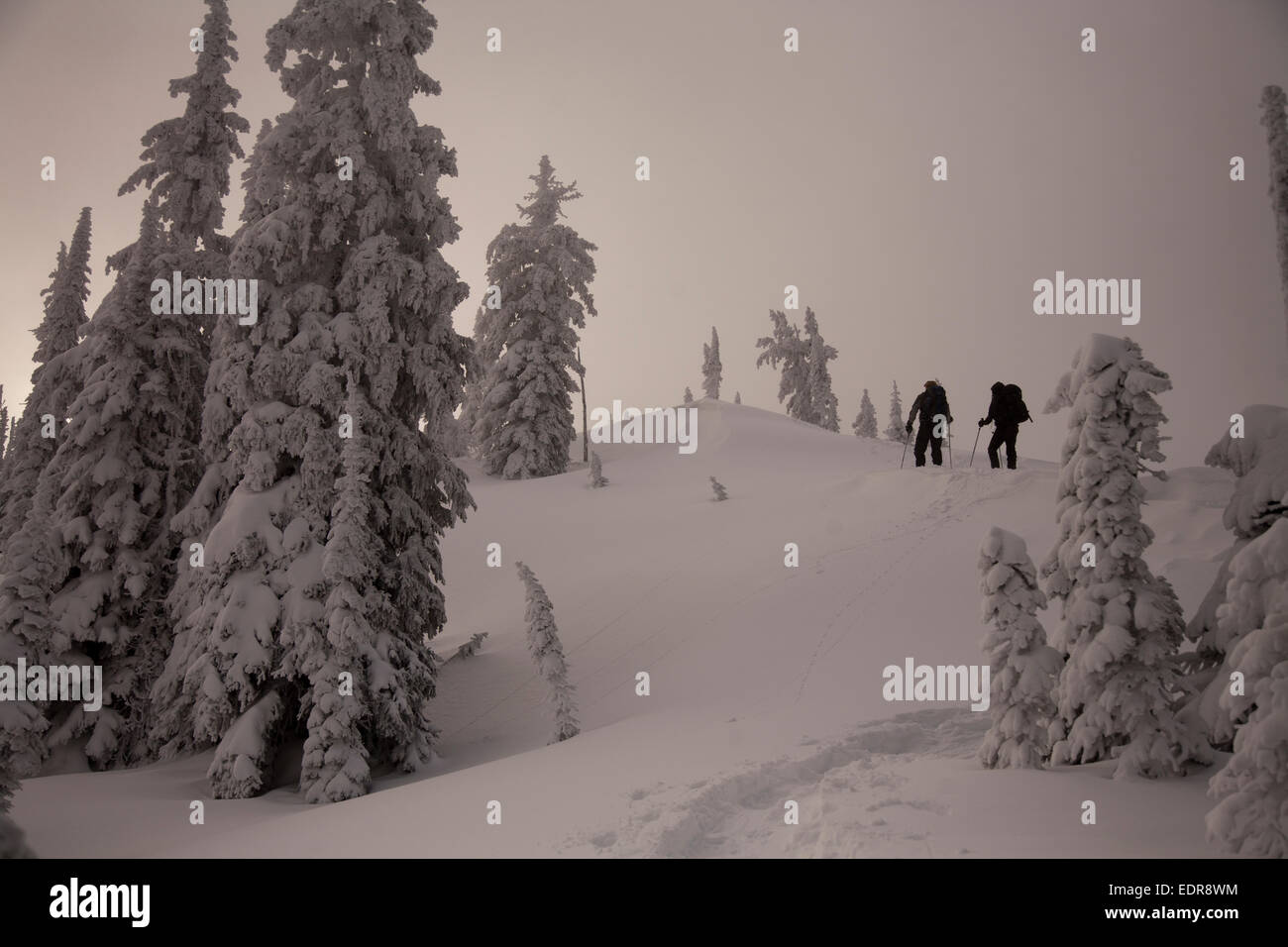 Silhouette di due backcountry sciatori in montagna. Foto Stock