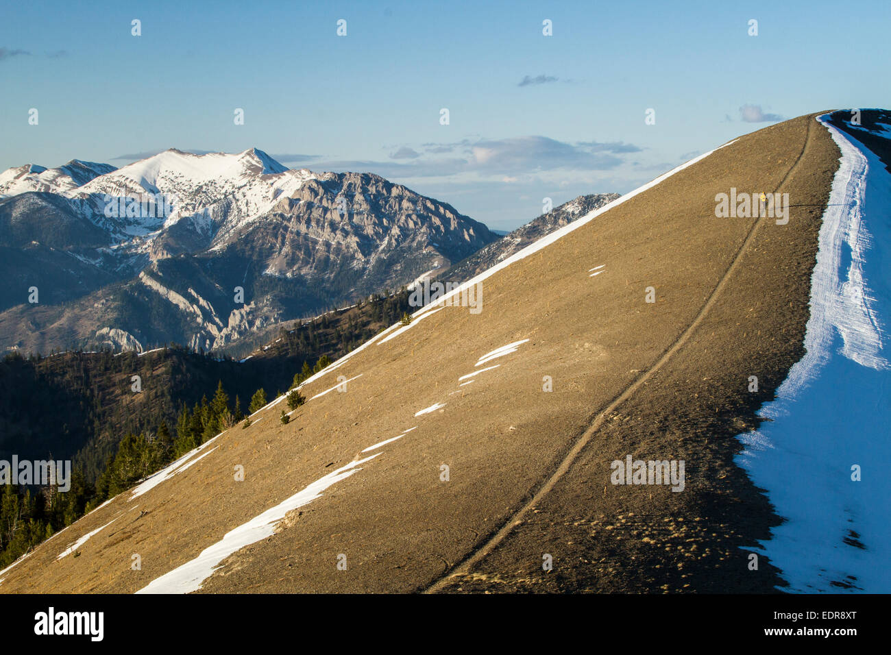 Trail Running in Bridger gamma su un giorno di caduta nel Montana. Foto Stock