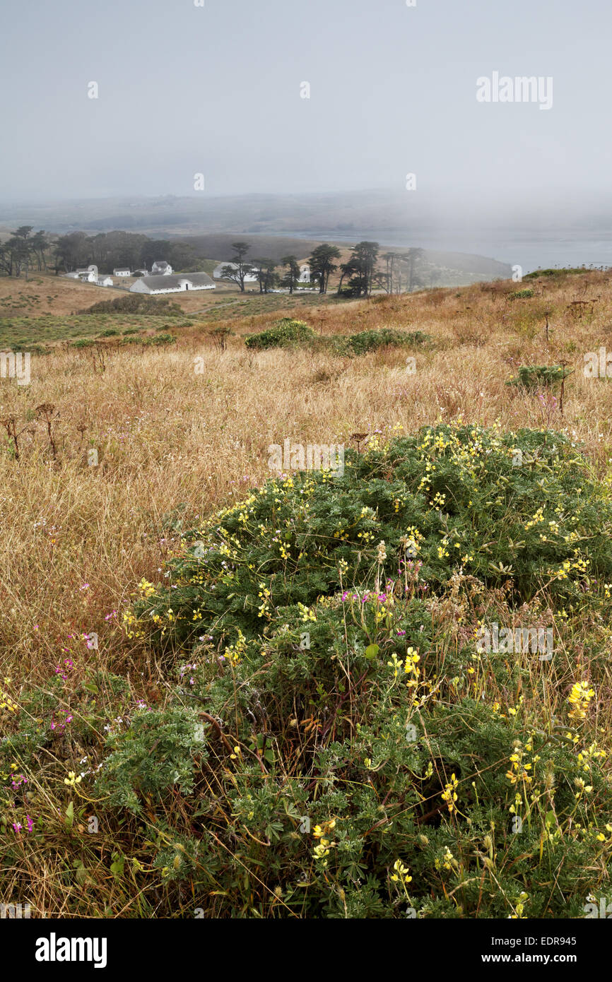 Storico Punto di Pierce Ranch, Point Reyes National Seashore, CALIFORNIA, STATI UNITI D'AMERICA Foto Stock