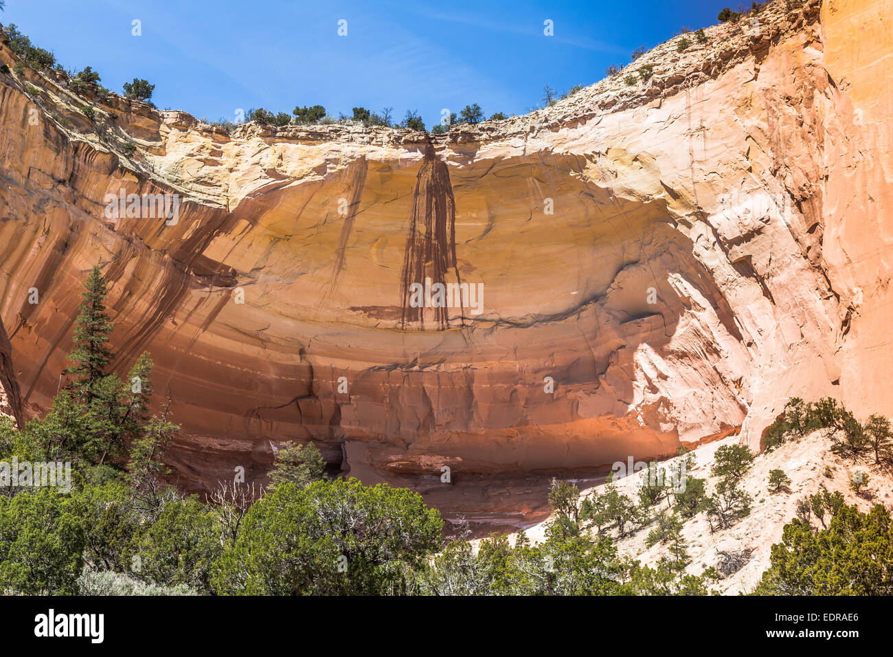 Echo Canyon, Nuovo Messico, STATI UNITI D'AMERICA Foto Stock