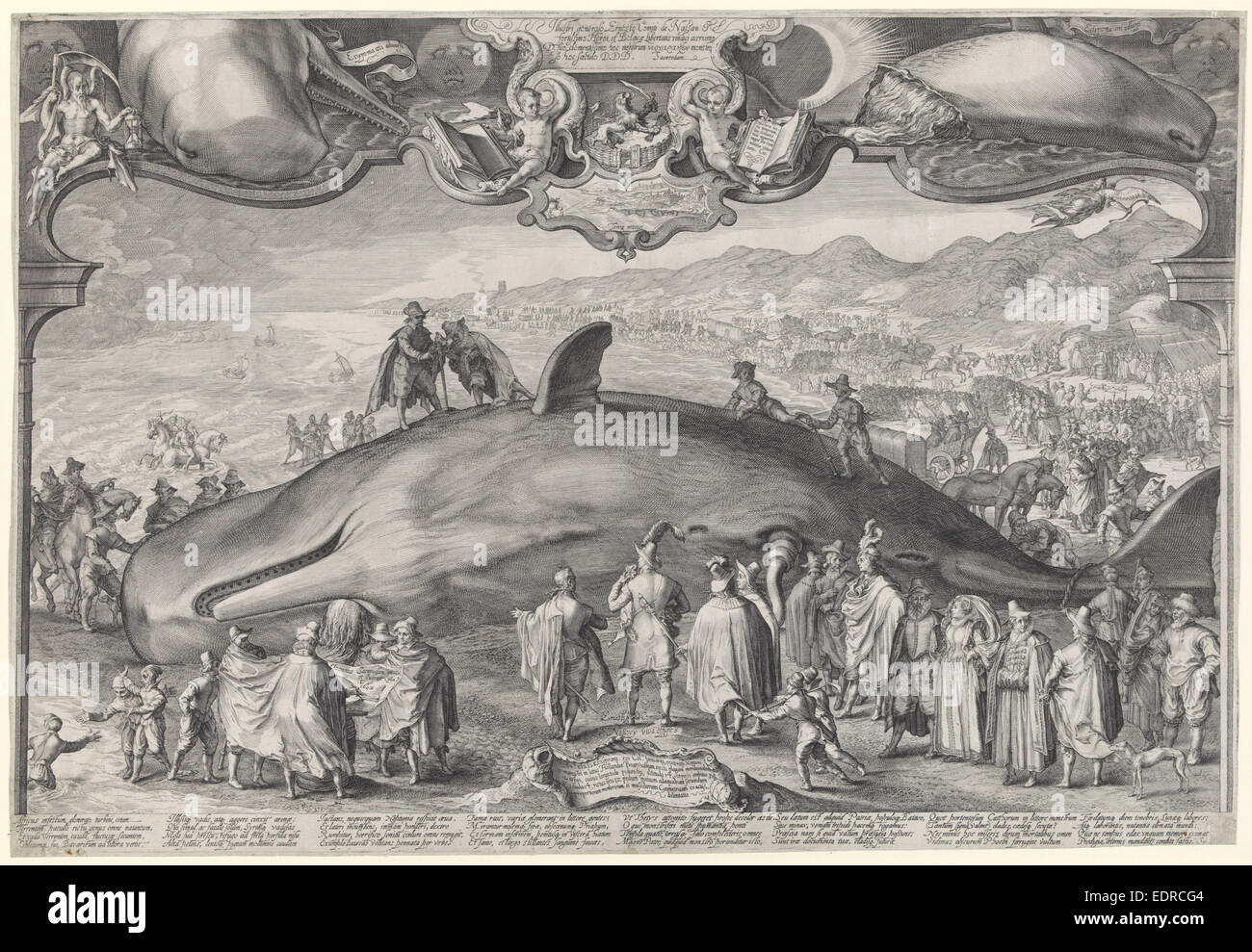 Balena arenata a BEVERWIJK, Olanda, 1601, Jan Saenredam, 1602 Foto Stock