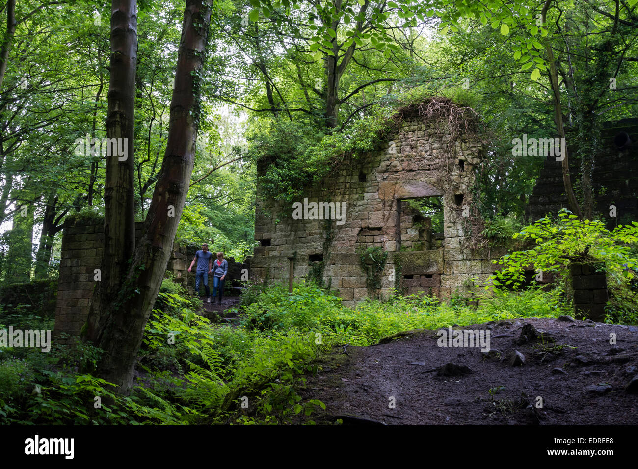 Giovane oltrepassando le antiche rovine coperte di fogliame in Derbyshire Inghilterra Foto Stock