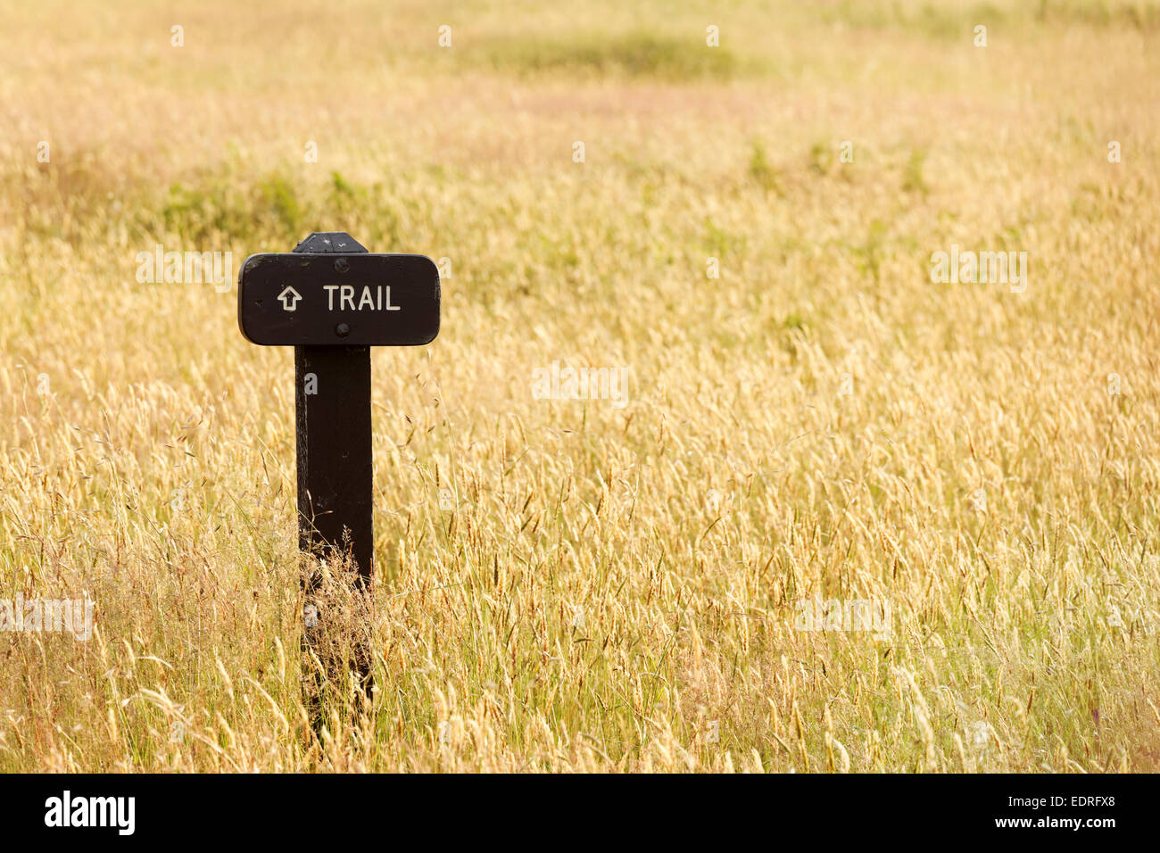 Segnavia di Bald Hills prairie, Parco Nazionale di Redwood in California Foto Stock