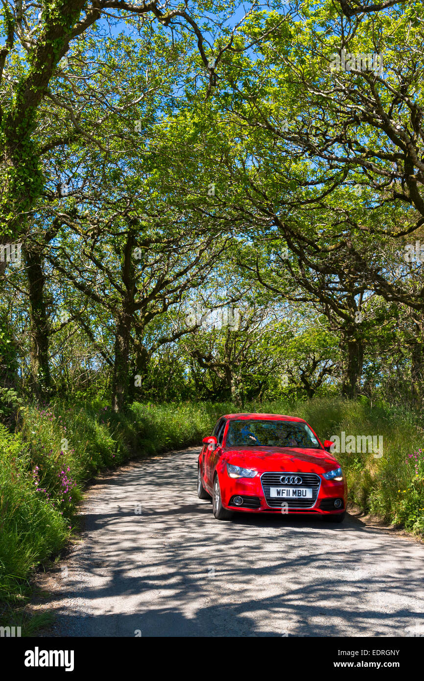 La guida di un rosso tedesco Audi automobile berlina lungo il vicolo del paese a Hartland in North Devon, Inghilterra meridionale, Regno Unito Foto Stock