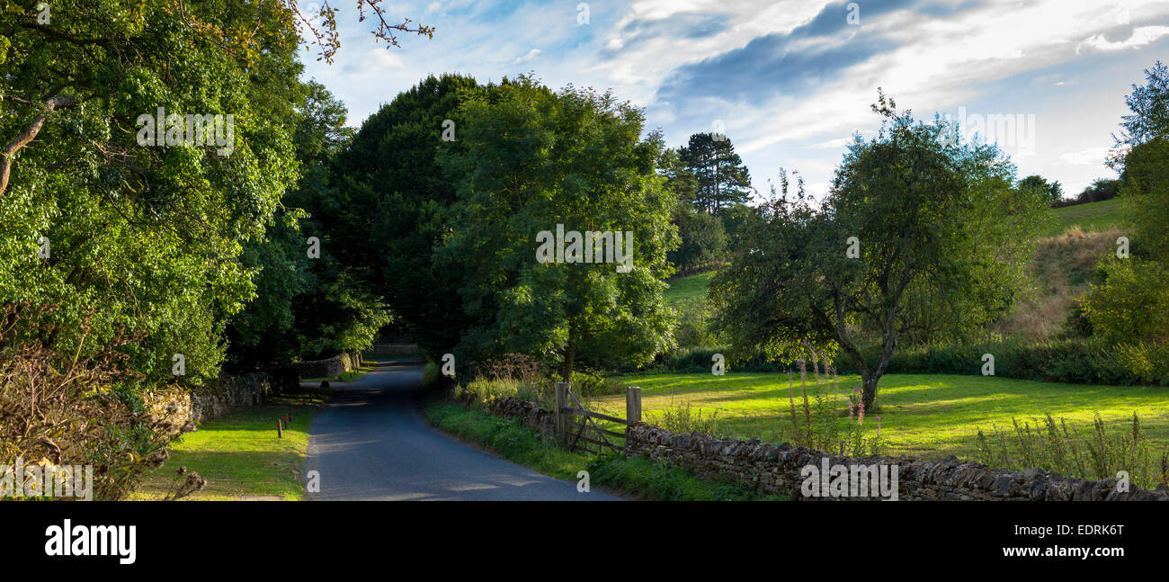 Vicolo del paese rurale scena in Swinbrook in Cotswolds, England, Regno Unito Foto Stock