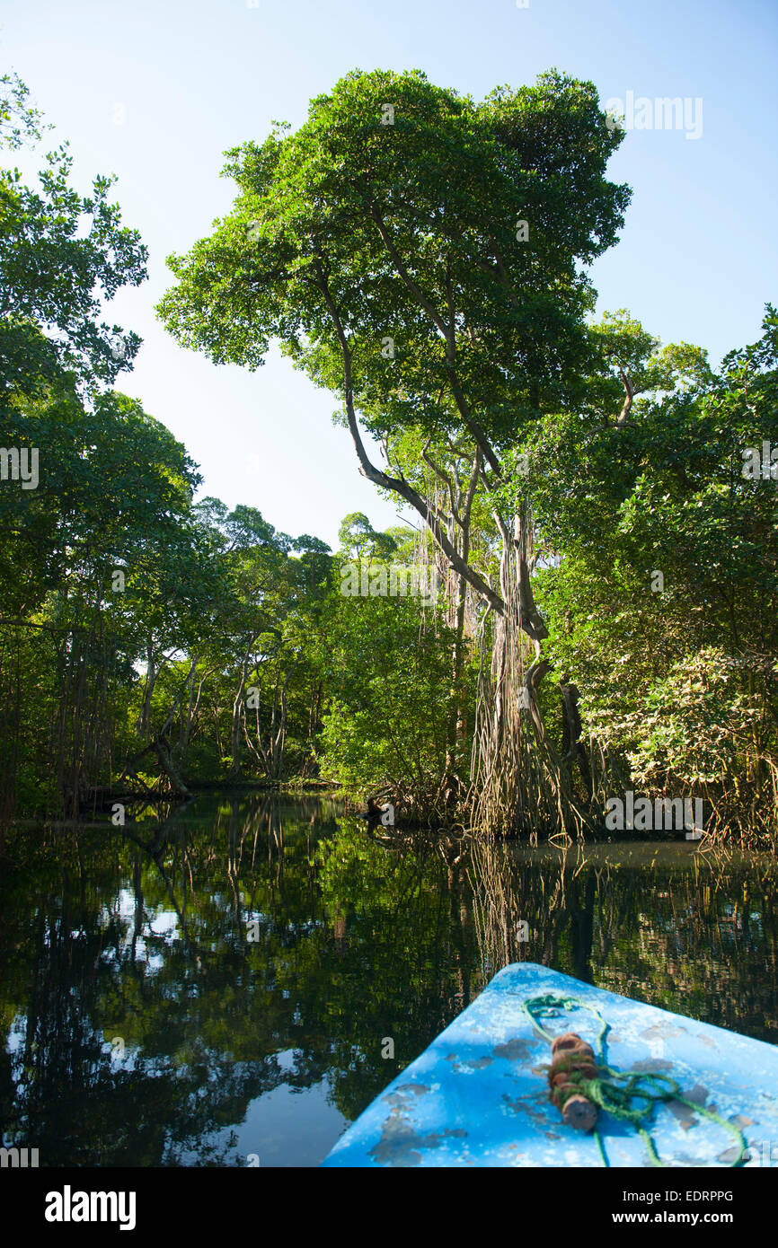 Dominikanische Republik, Nordosten, Rio San Juan, Laguna Gri-Gri Foto Stock