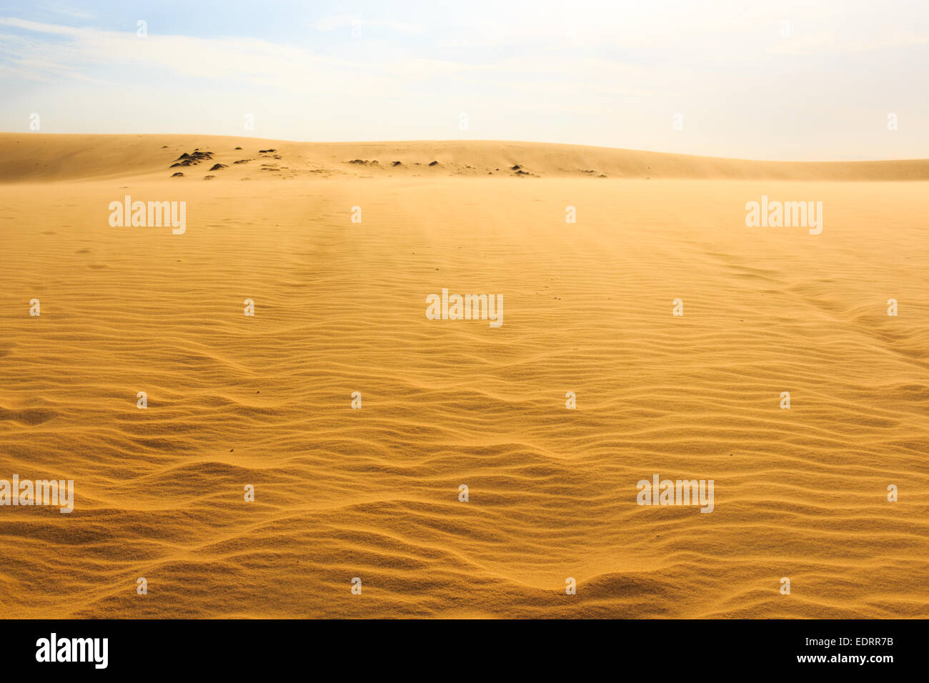 Onda su deserto e cielo blu (Mui Ne duna di sabbia) a sud del Vietnam Foto Stock