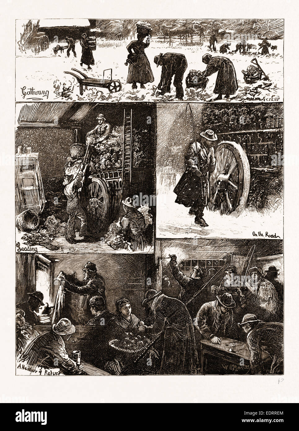Mercato del giardinaggio: un inverno il viaggio a Covent Garden di Londra, Regno Unito, 1876 Foto Stock