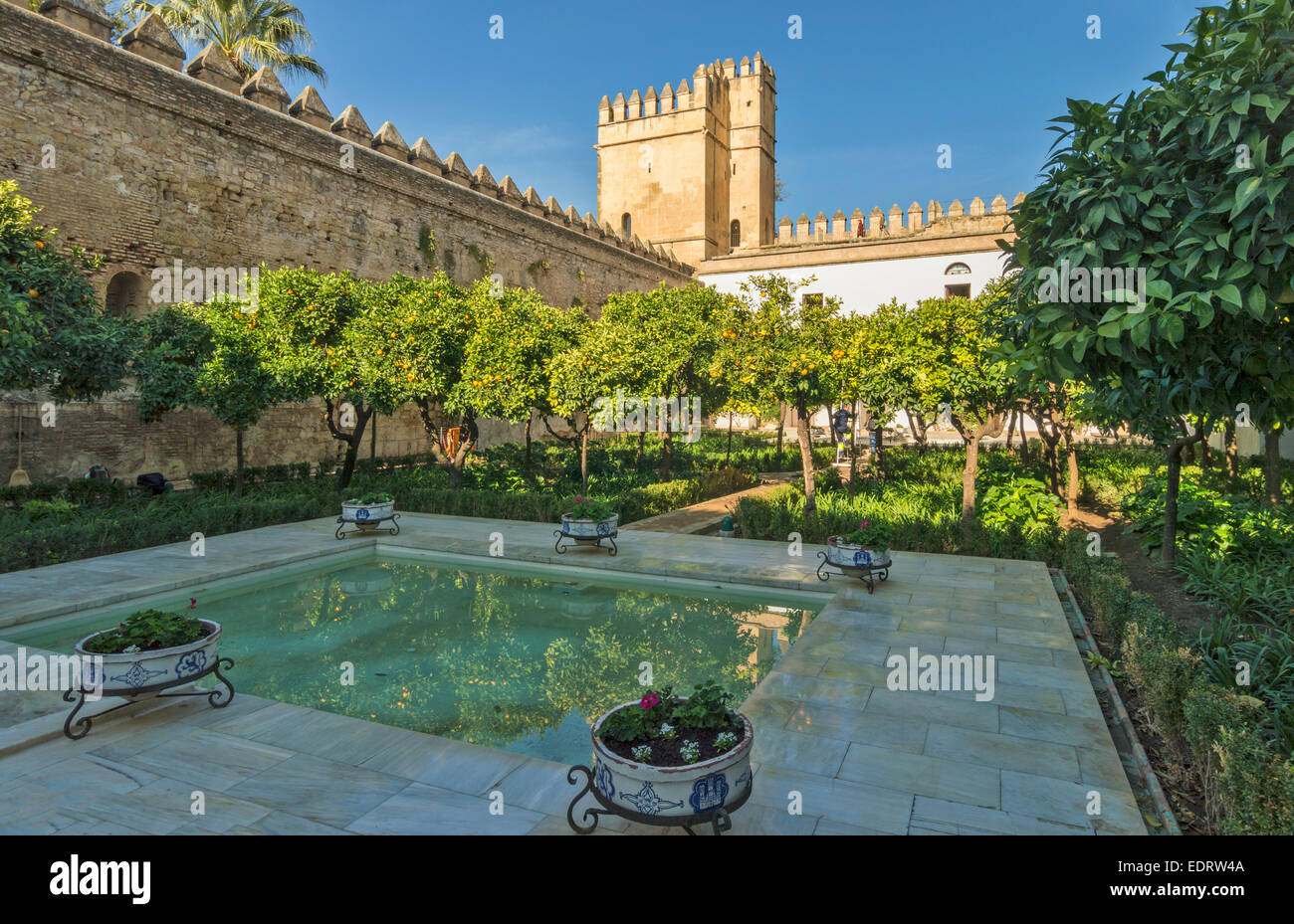 CORDOBA IL GIARDINO DI Alcazar dei Re Cristiani interno giardino murato con una piscina e un boschetto di alberi di arancio Foto Stock