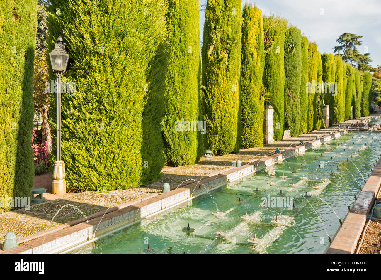 CORDOBA all'interno dei giardini dell'Alcazar dei Re Cristiani una fila di Evergreen abeti e piscine con fontane Foto Stock