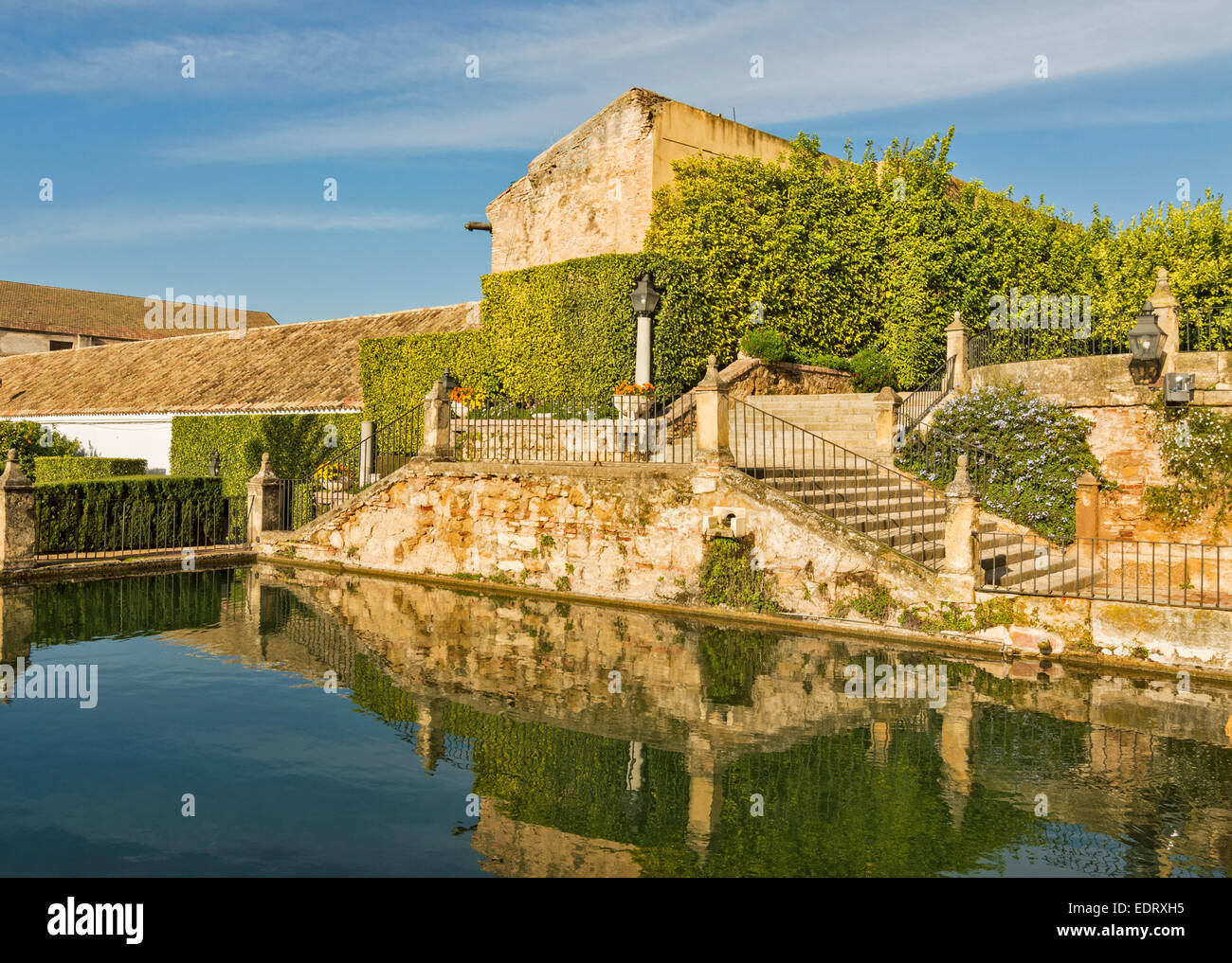 CORDOBA all'interno dei giardini dell'Alcazar dei Re Cristiani una serie di passi e di una piscina con pesce Foto Stock